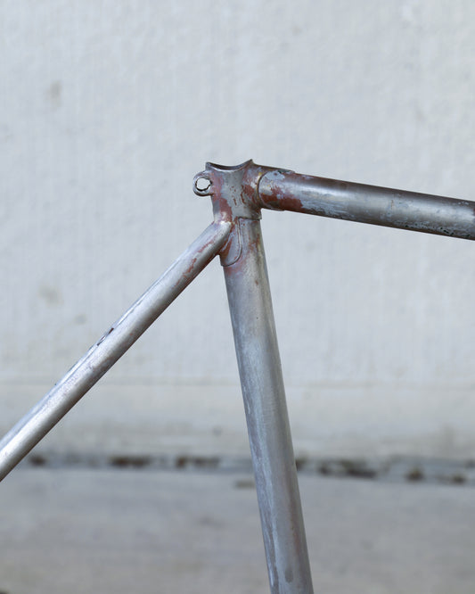 Raleigh Professional Mk. IV