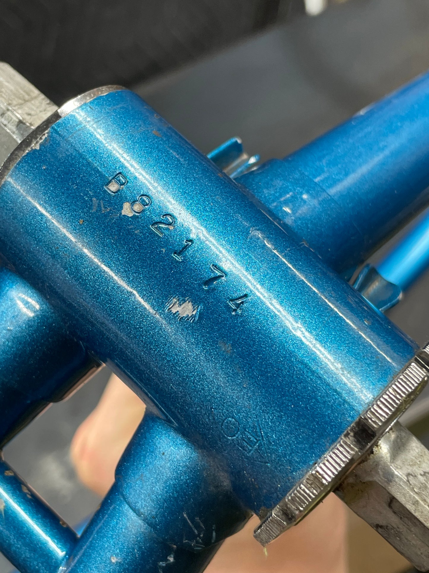 Bradley Reynolds 531