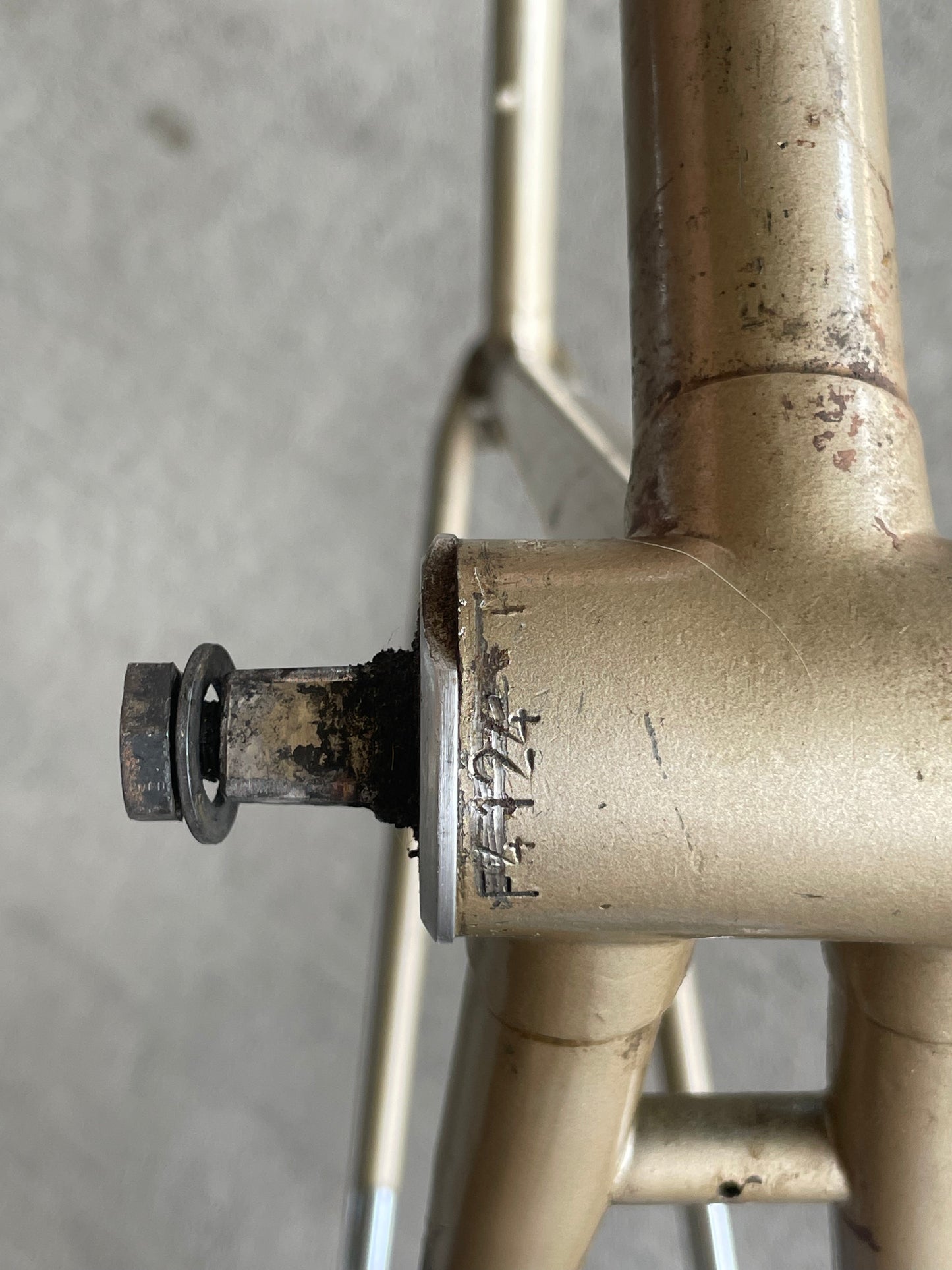 Raleigh International