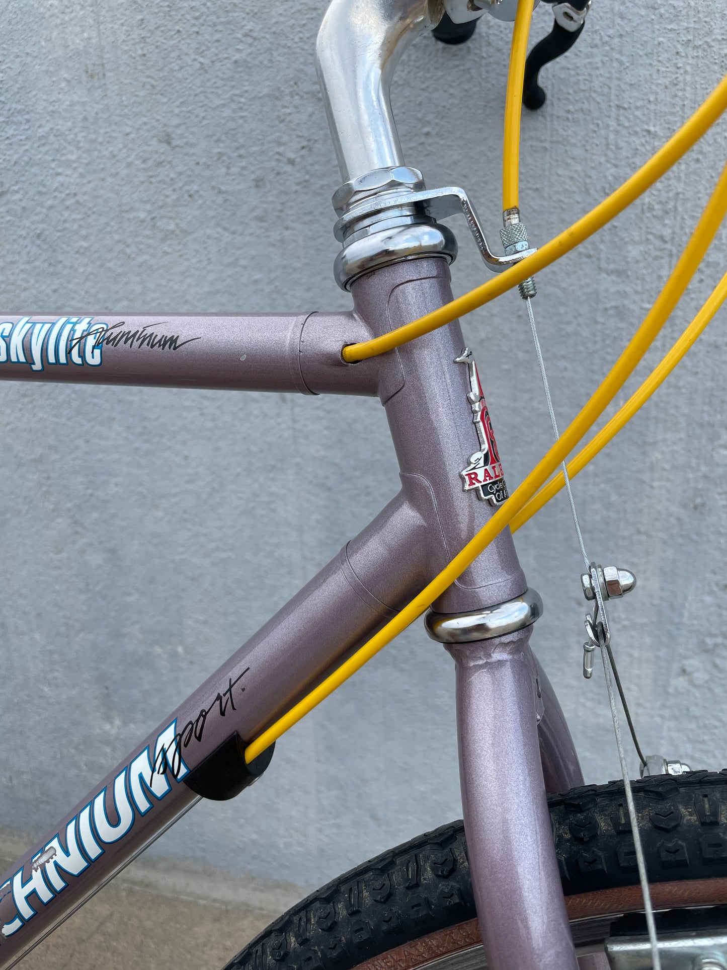 Raleigh Technium Sport