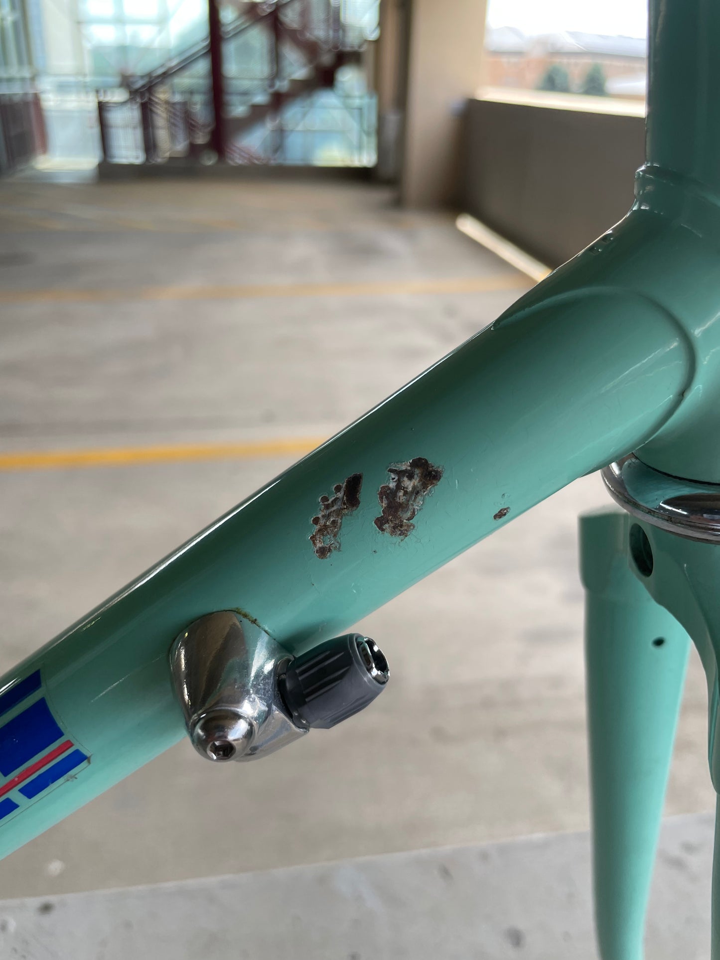 Bianchi Campione Del Mondo