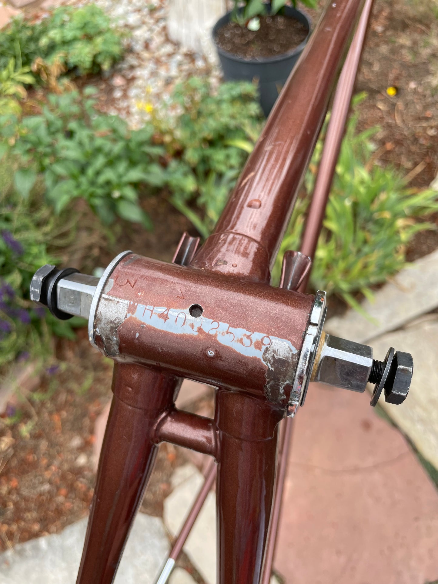 Raleigh International