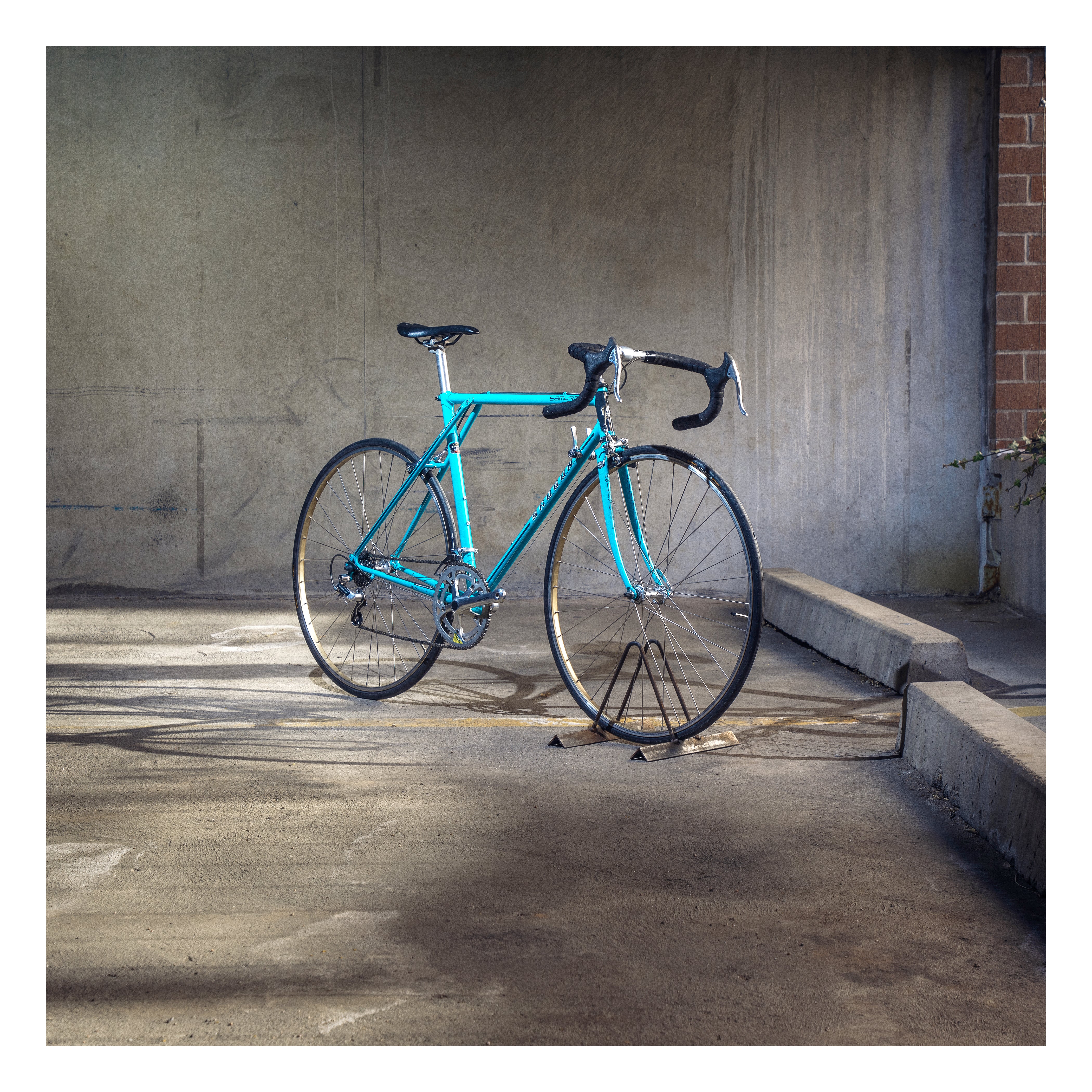 Shogun Samurai – Ben's Cycles Denver