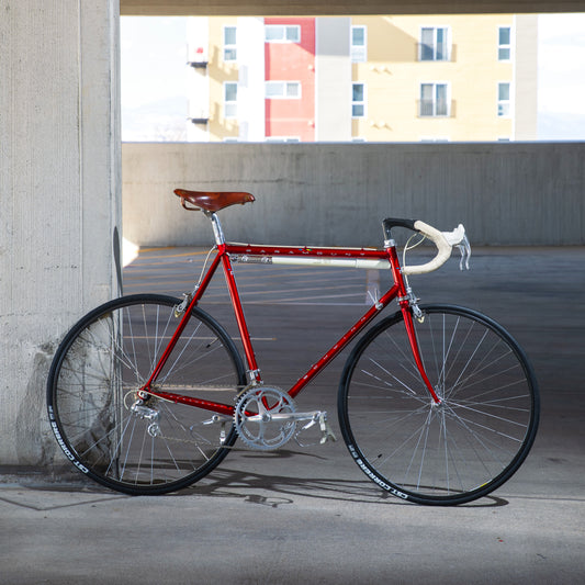 1989 Schwinn Paramount
