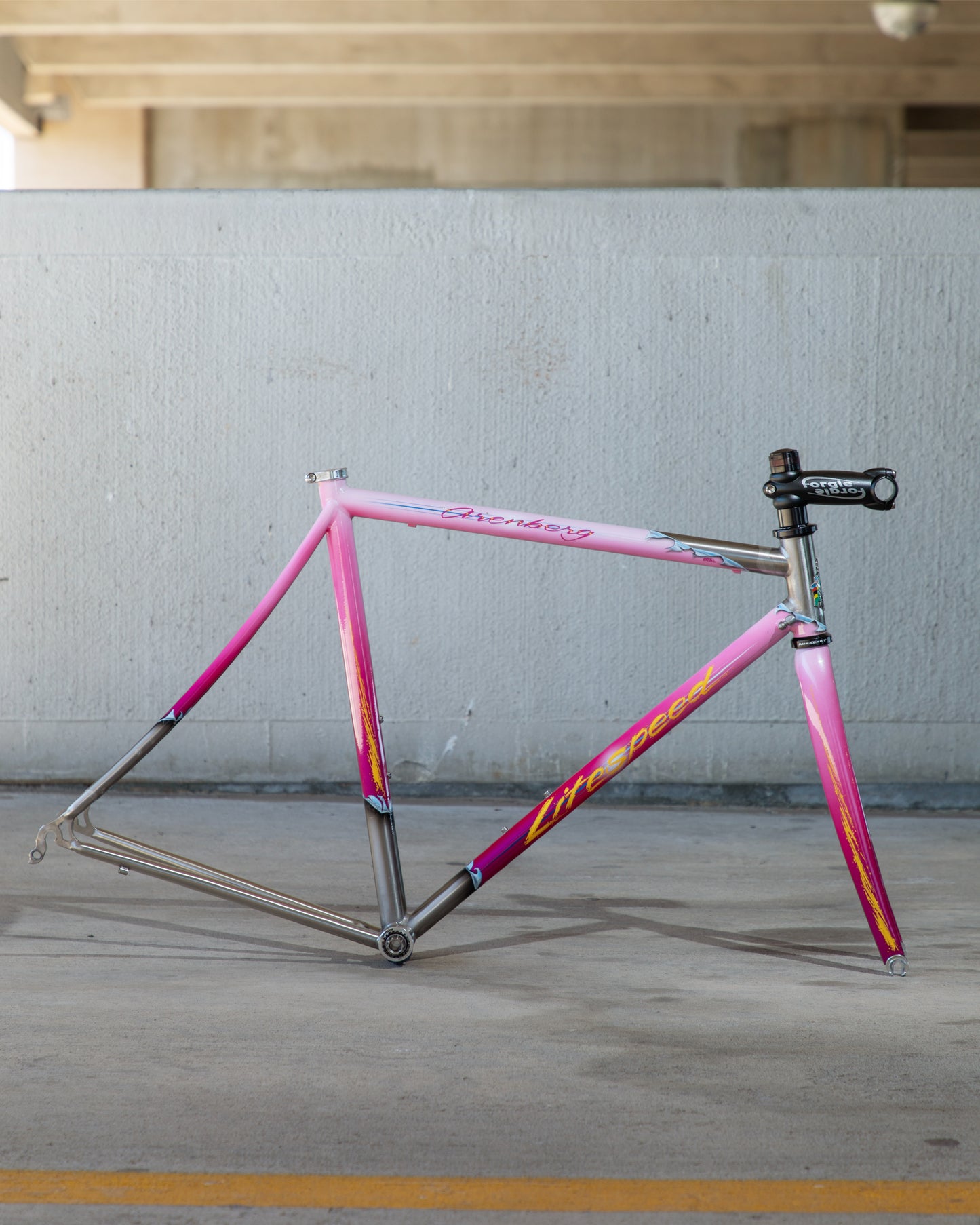 Litespeed Arenberg