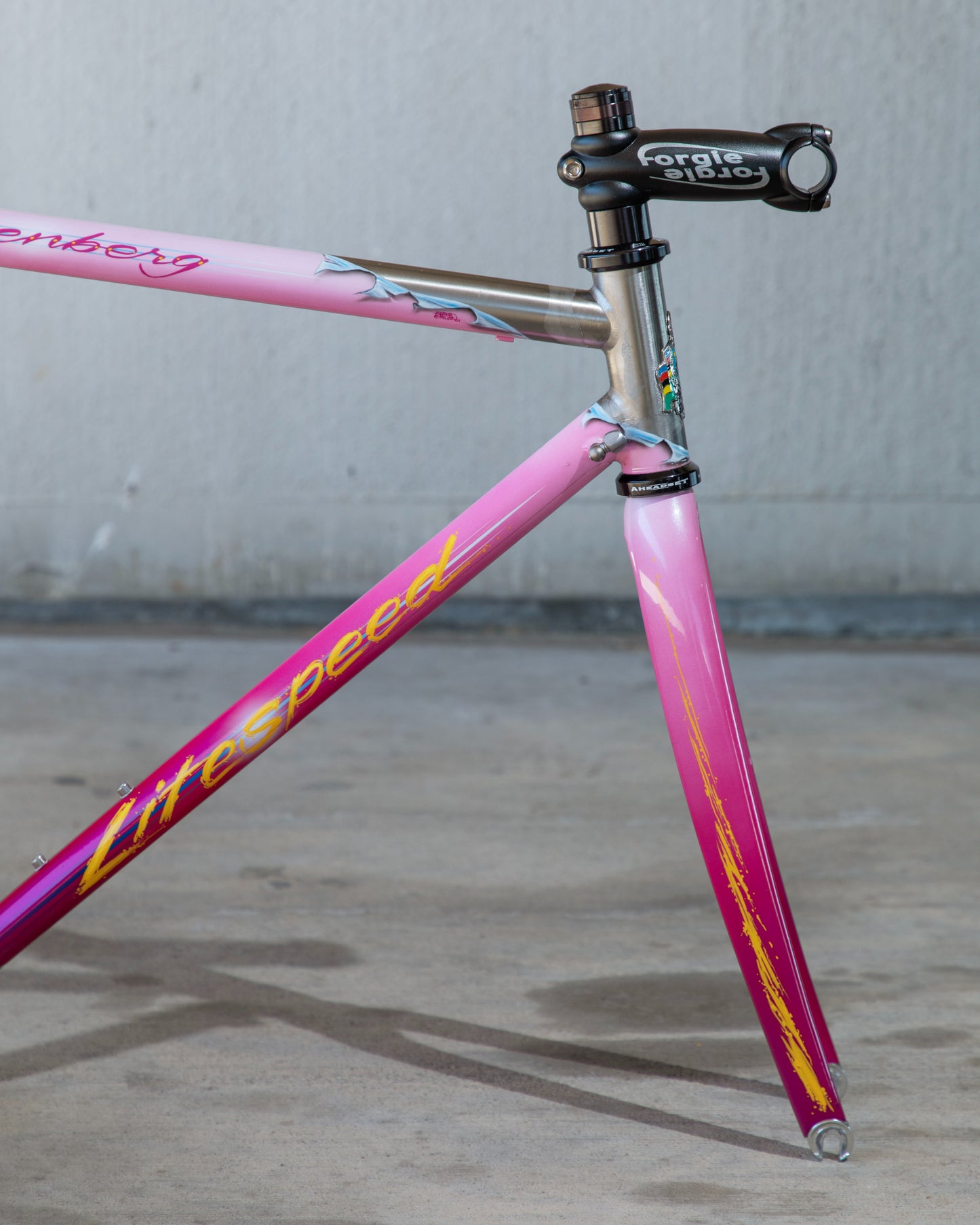 Litespeed Arenberg