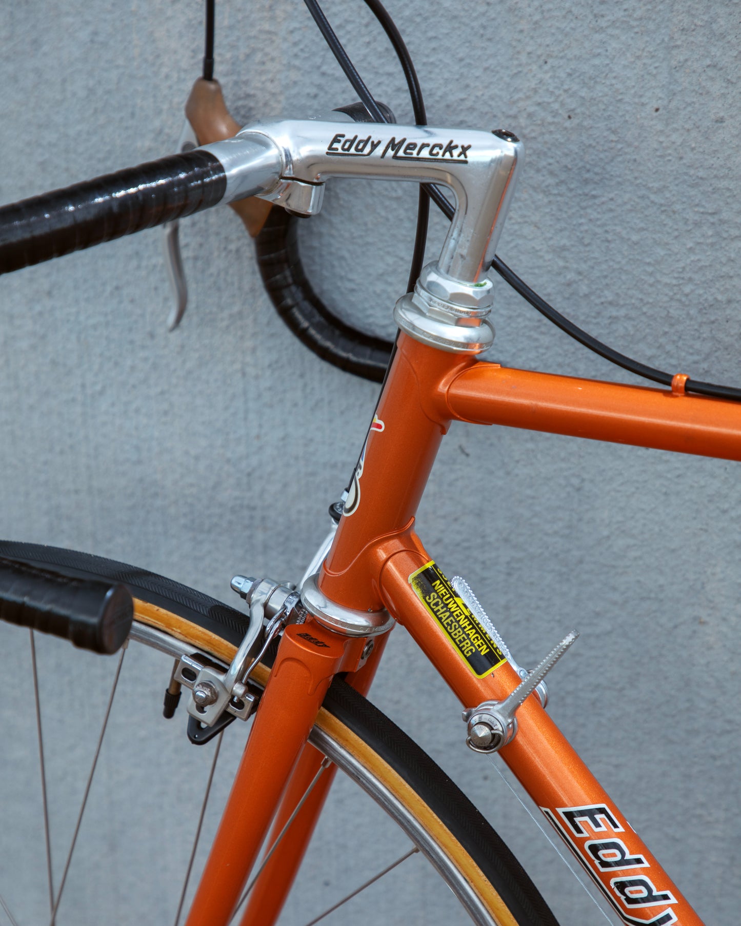 Early 80's Eddy Merckx