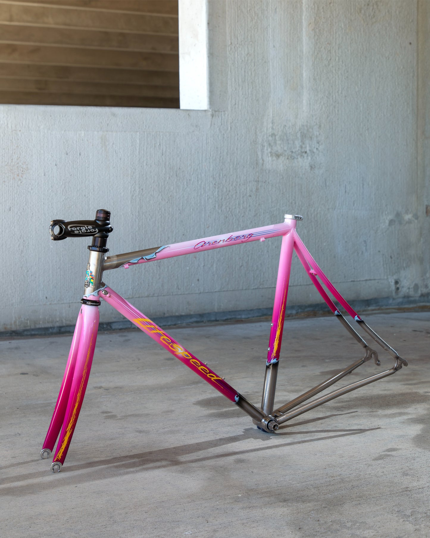 Litespeed Arenberg