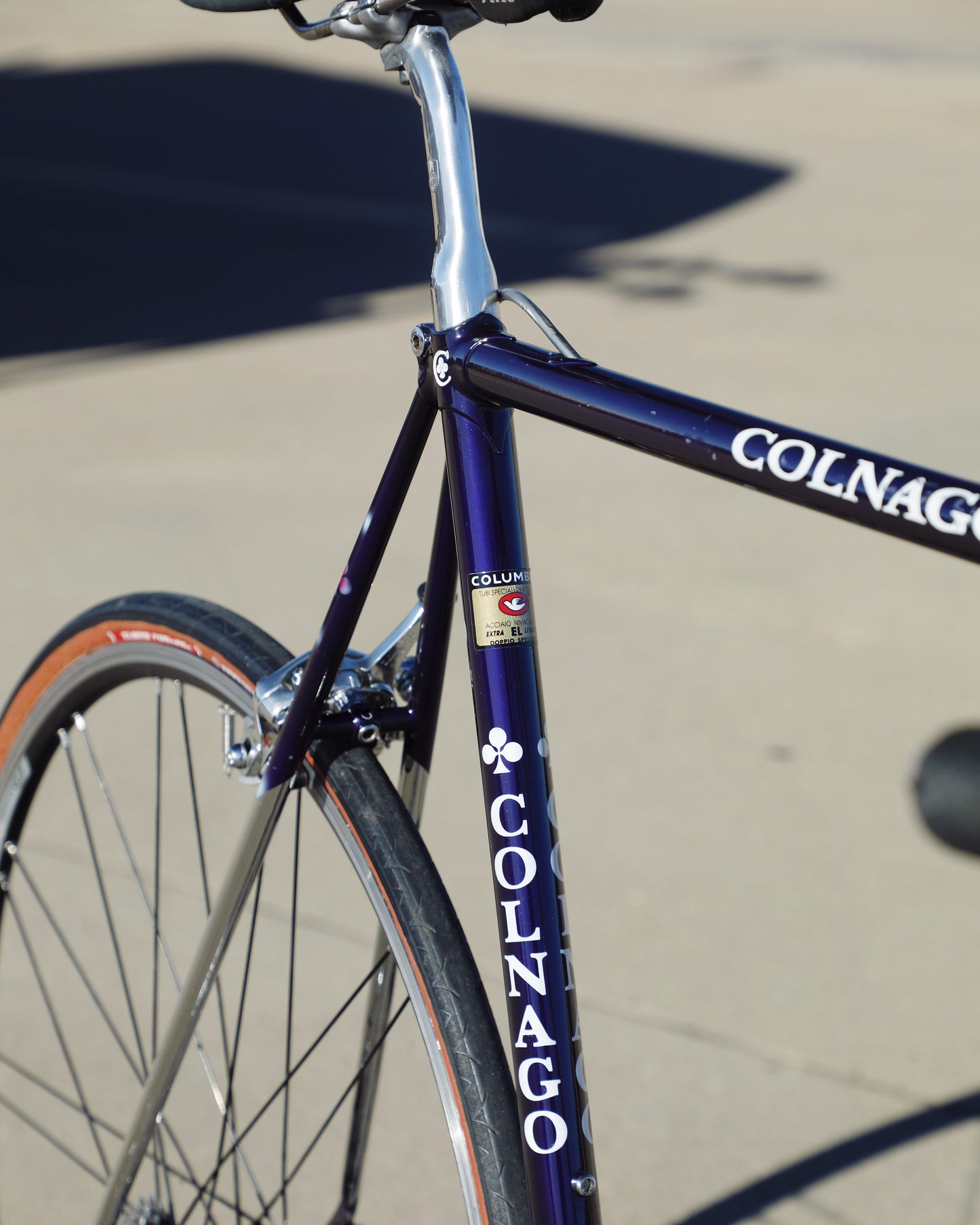 Colnago Elegant