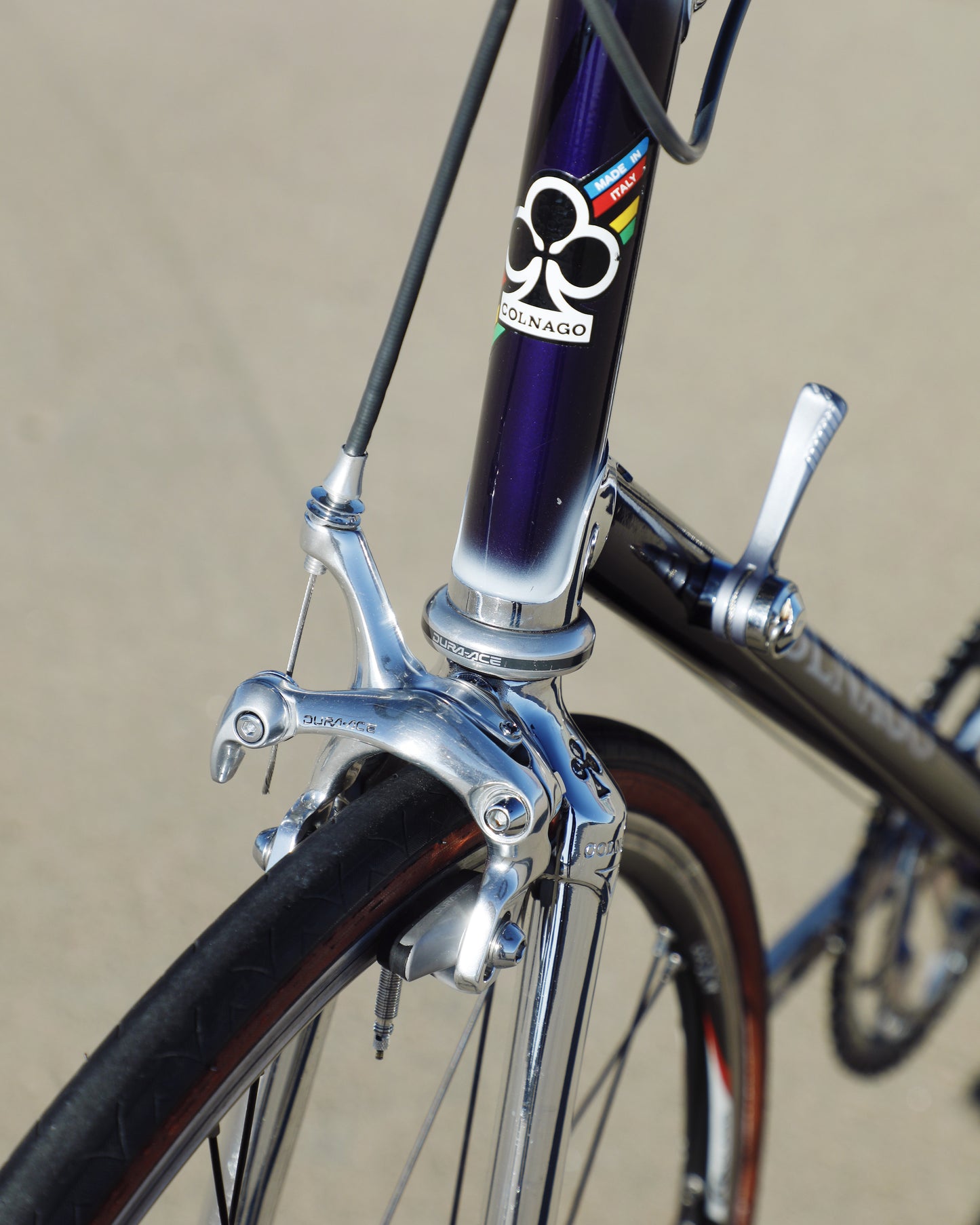 Colnago Elegant