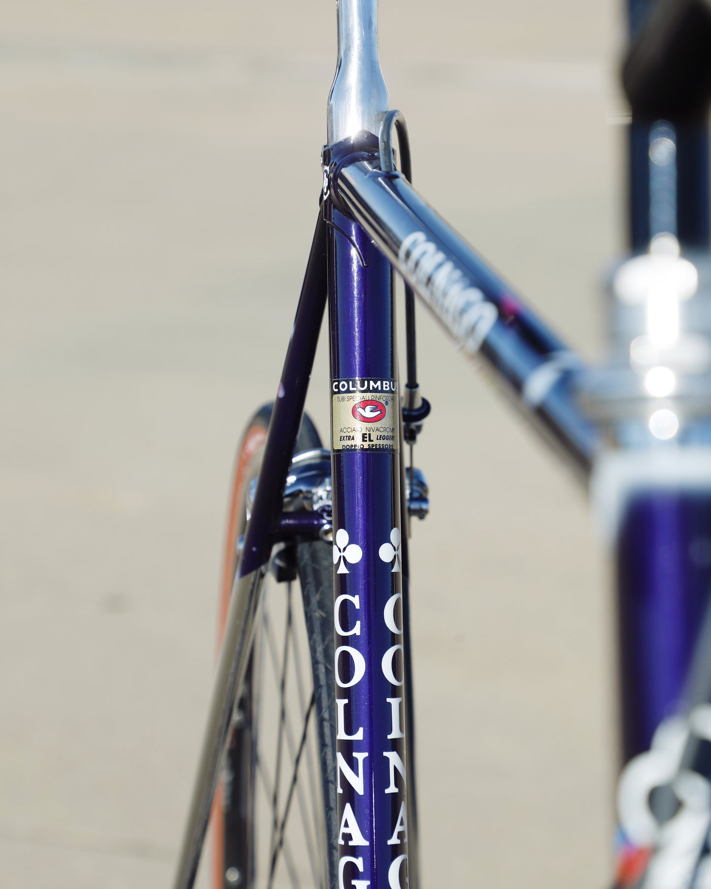 Colnago Elegant