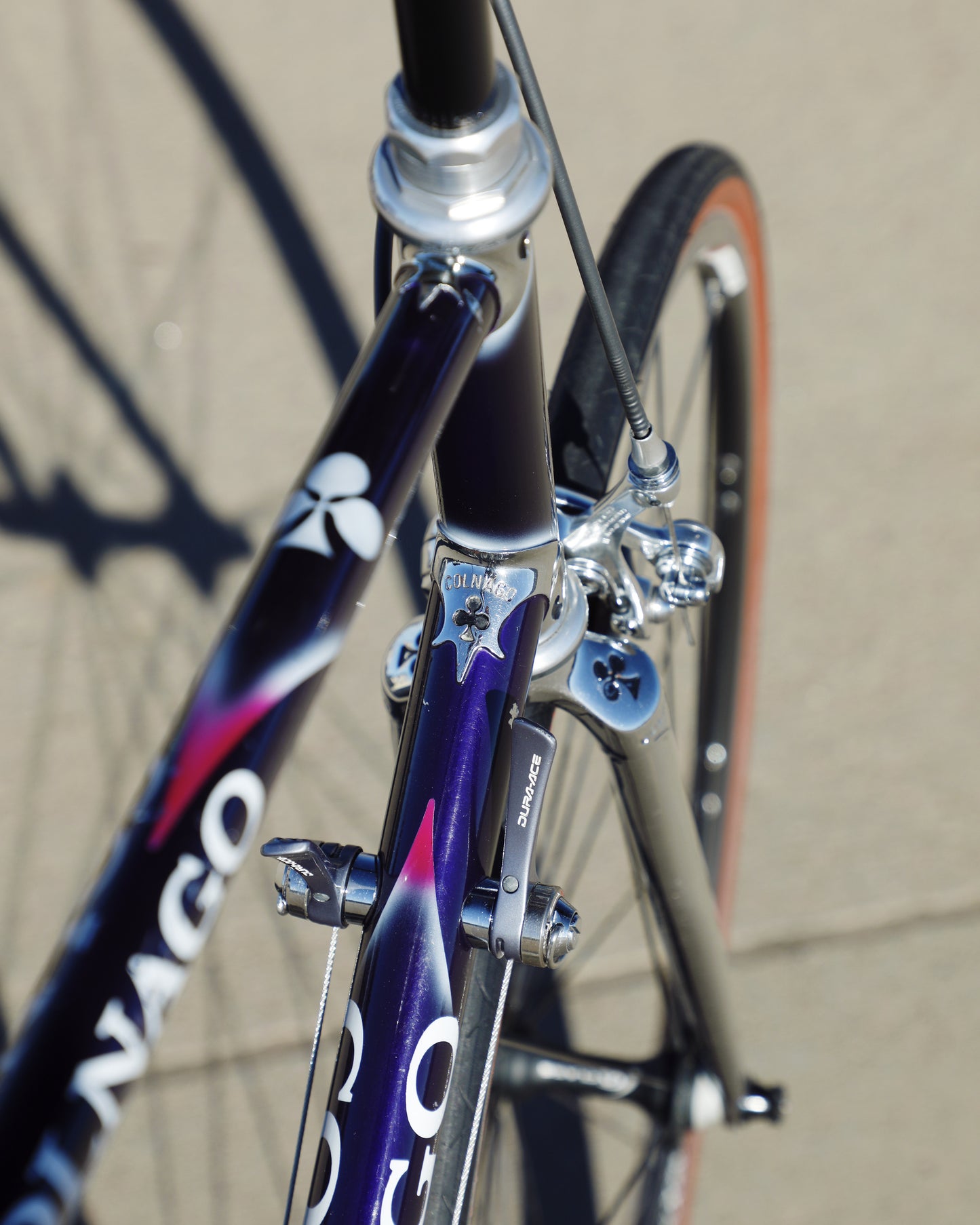 Colnago Elegant