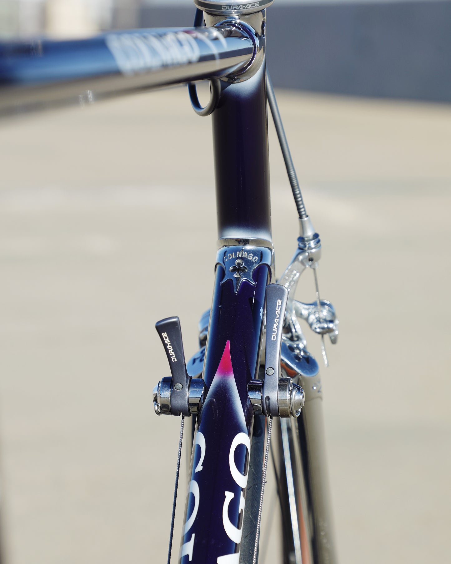 Colnago Elegant