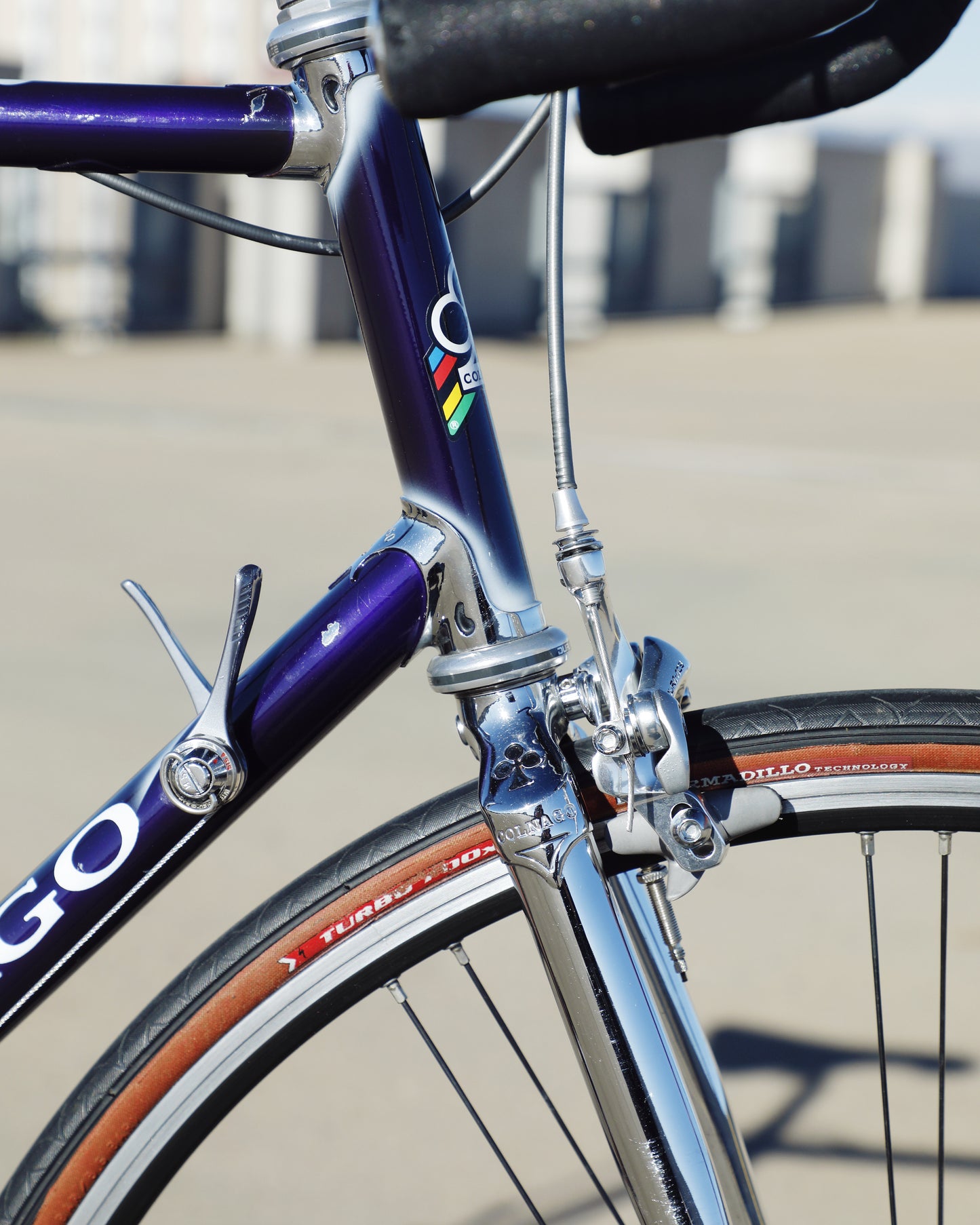 Colnago Elegant