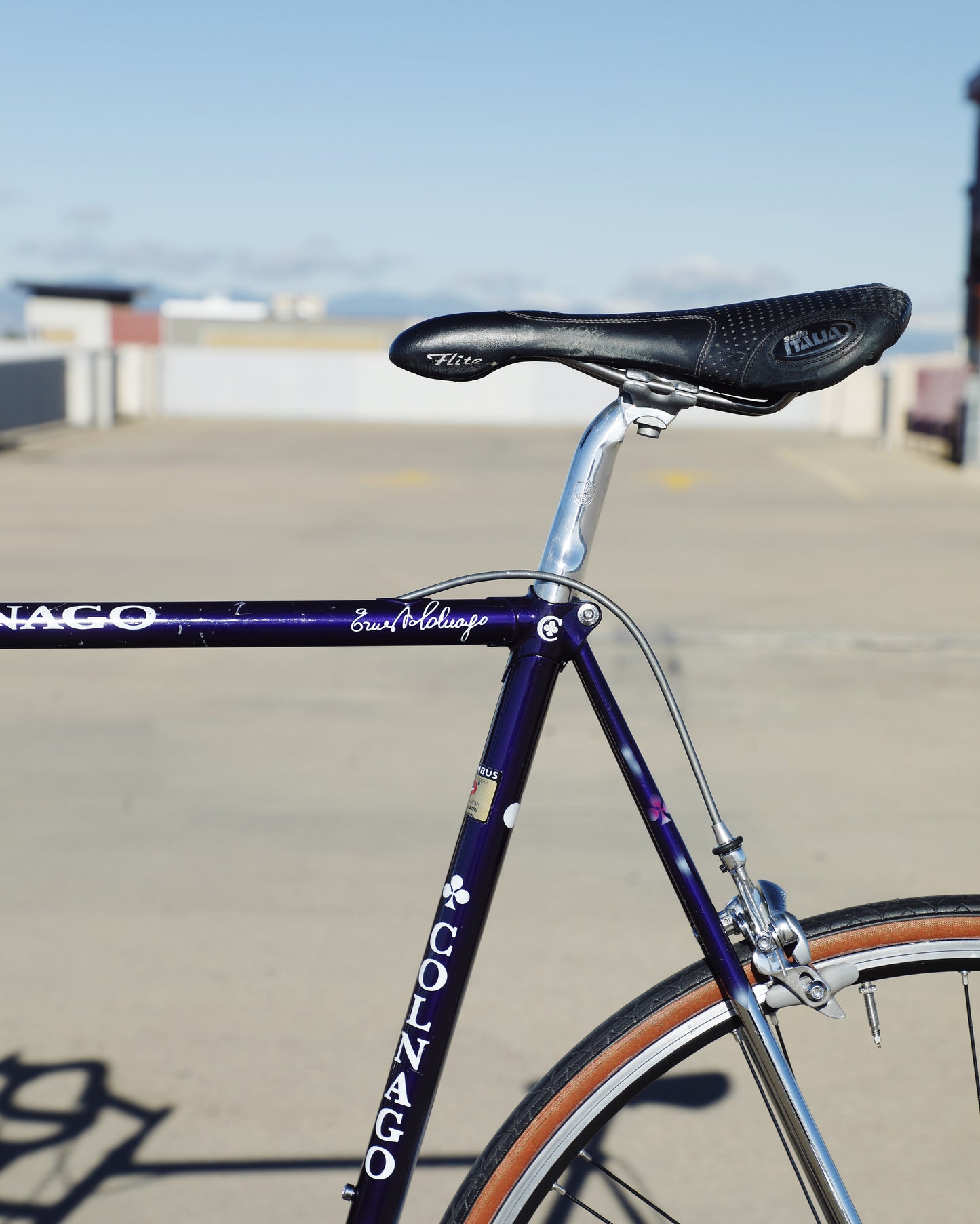 Colnago Elegant