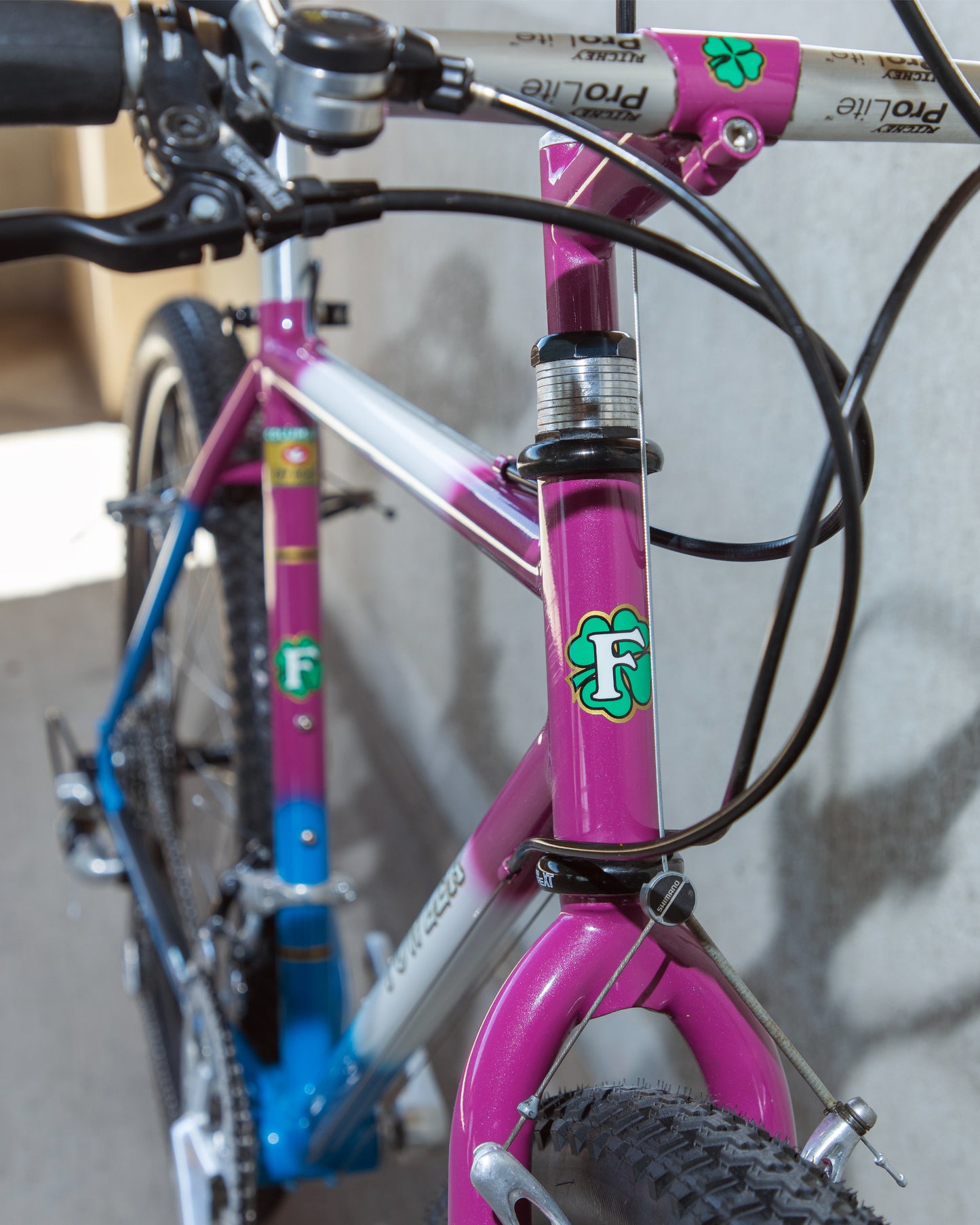 Fowler Cycles MTB