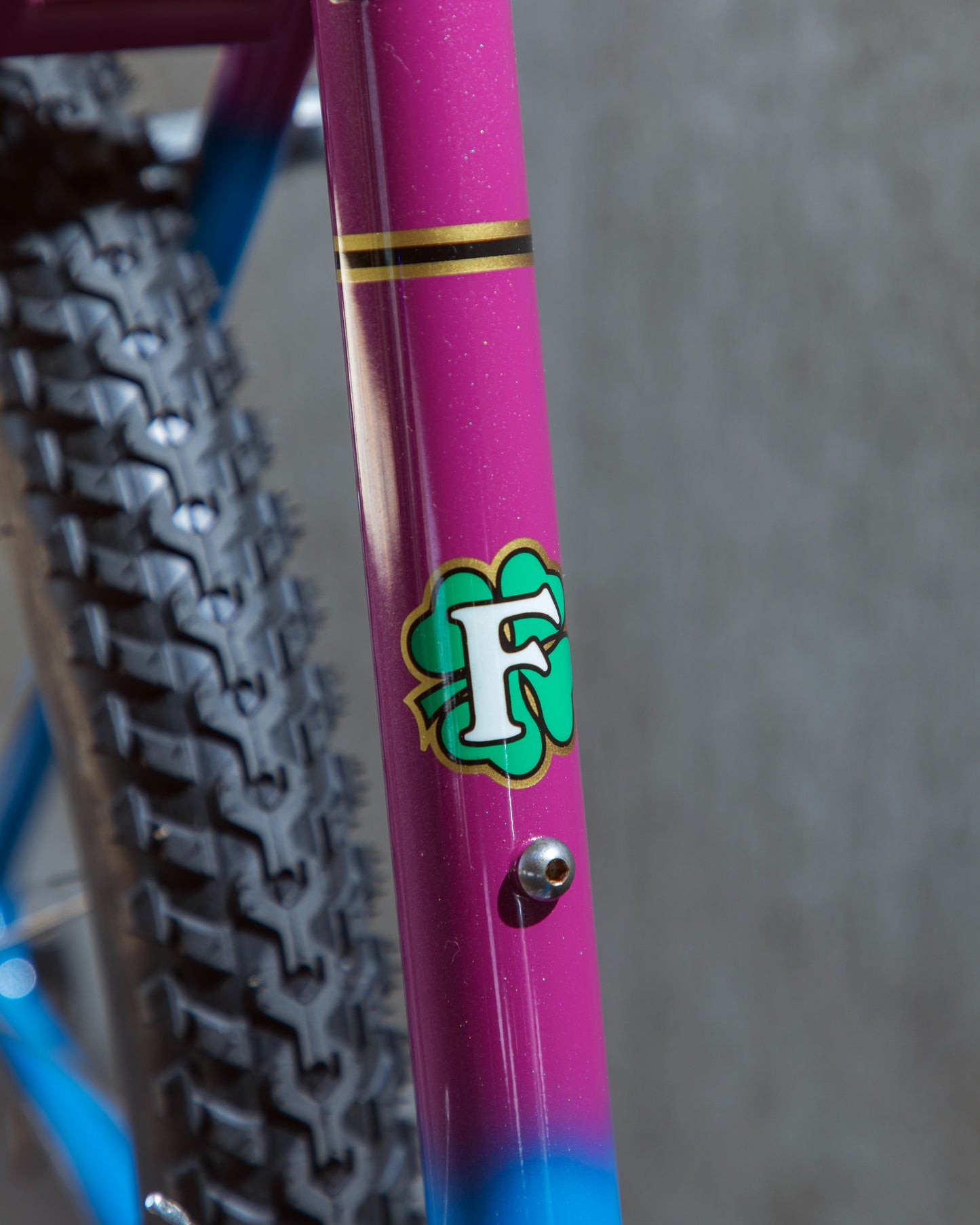 Fowler Cycles MTB