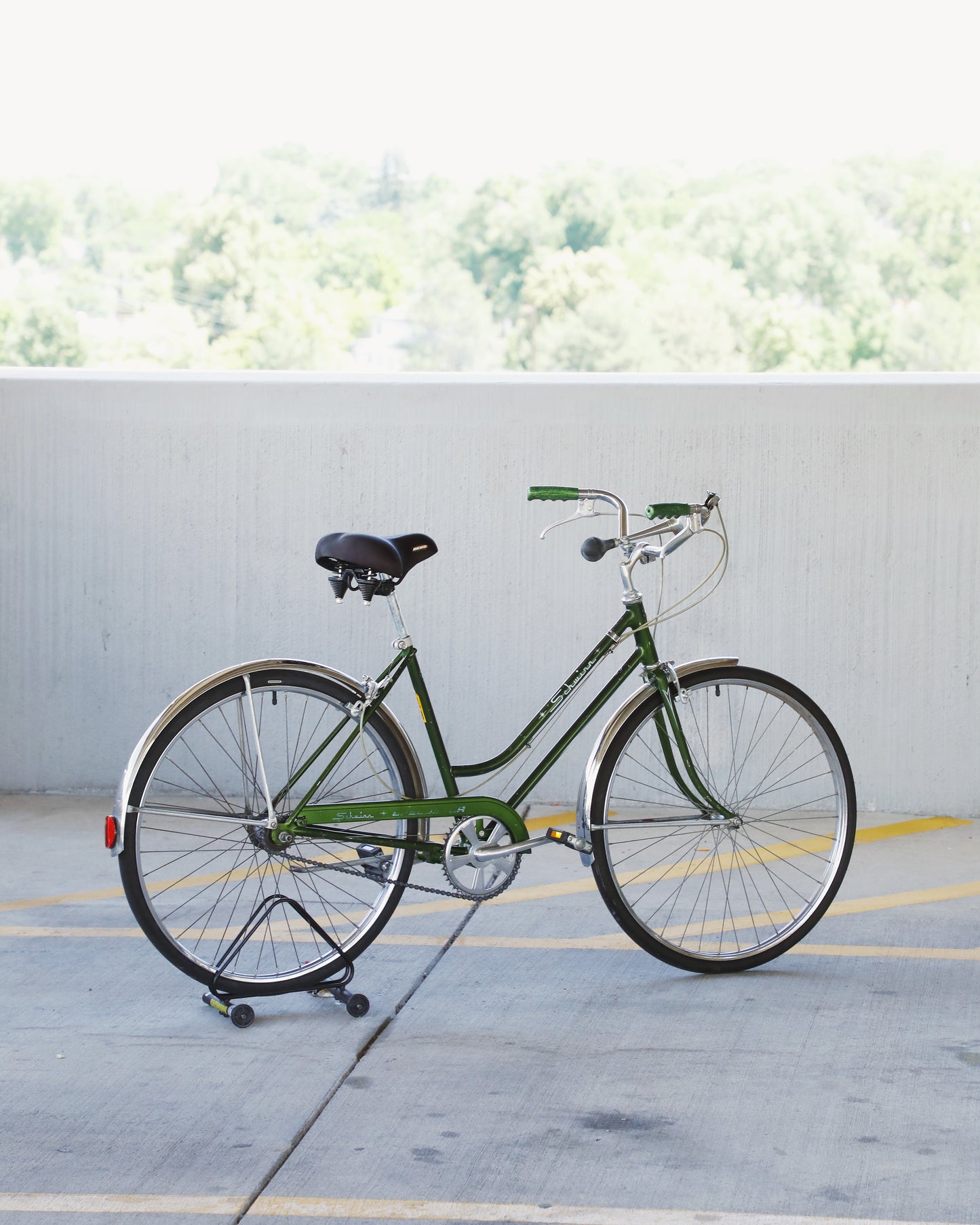 Schwinn Speedster
