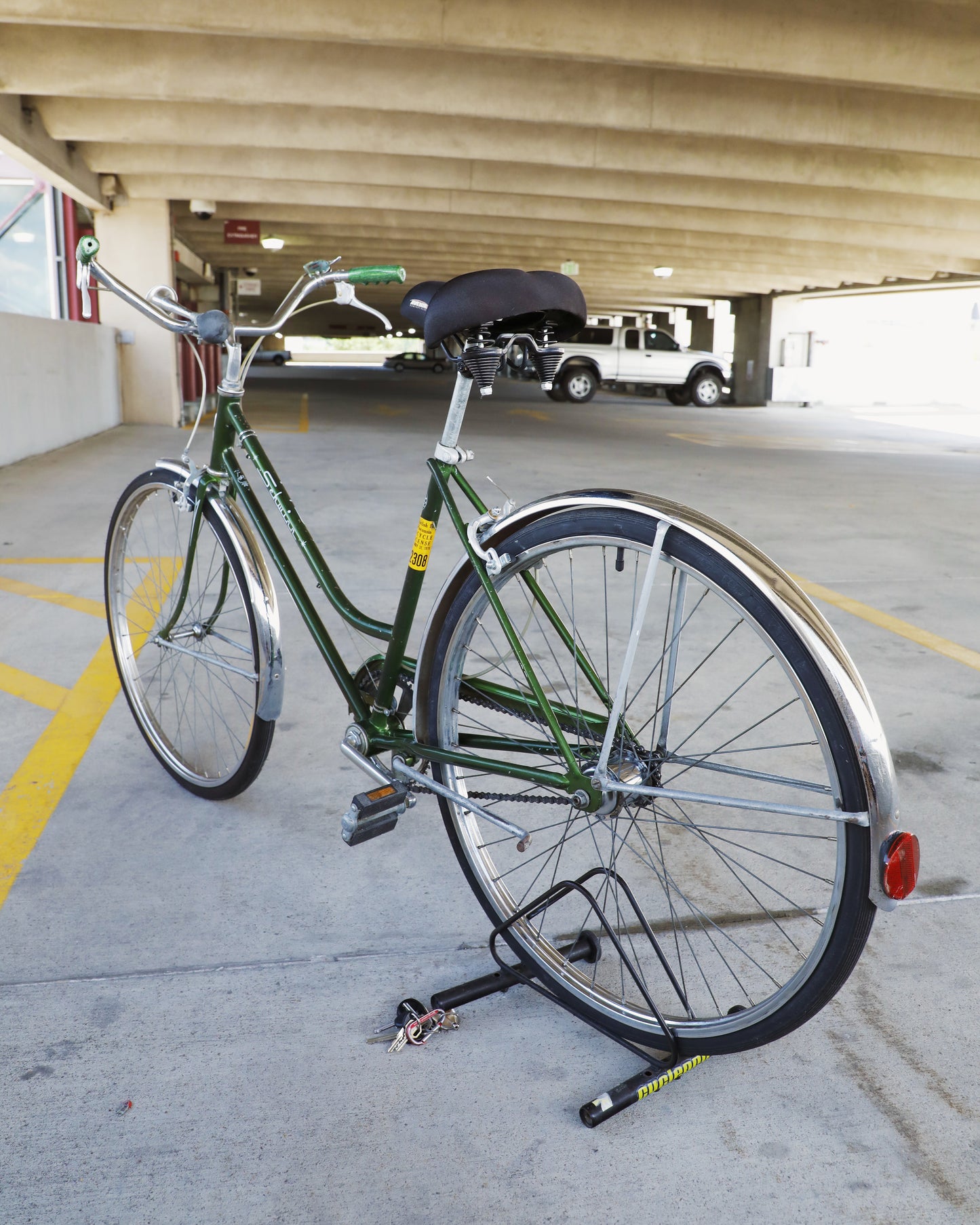 Schwinn Speedster