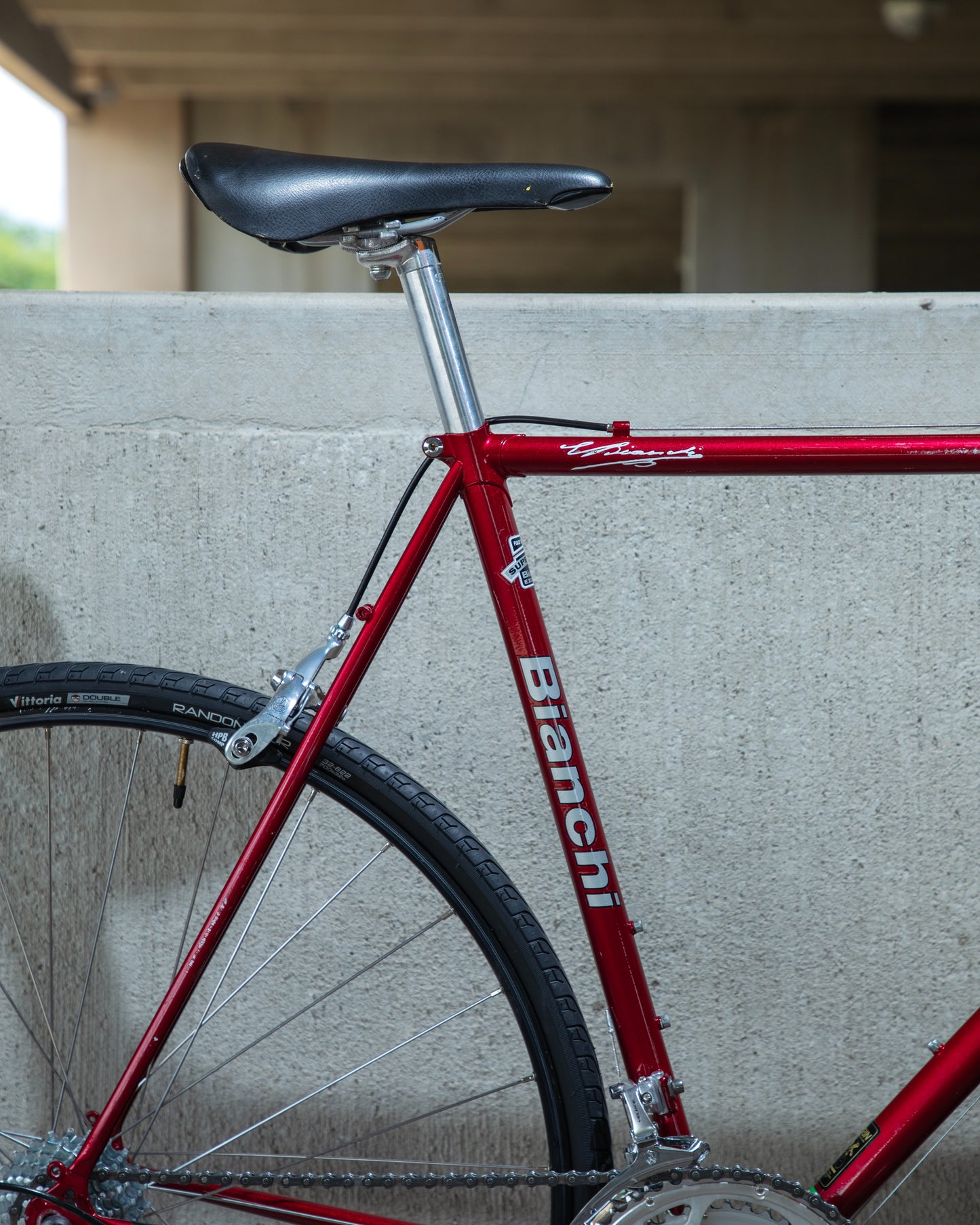 Bianchi Eros