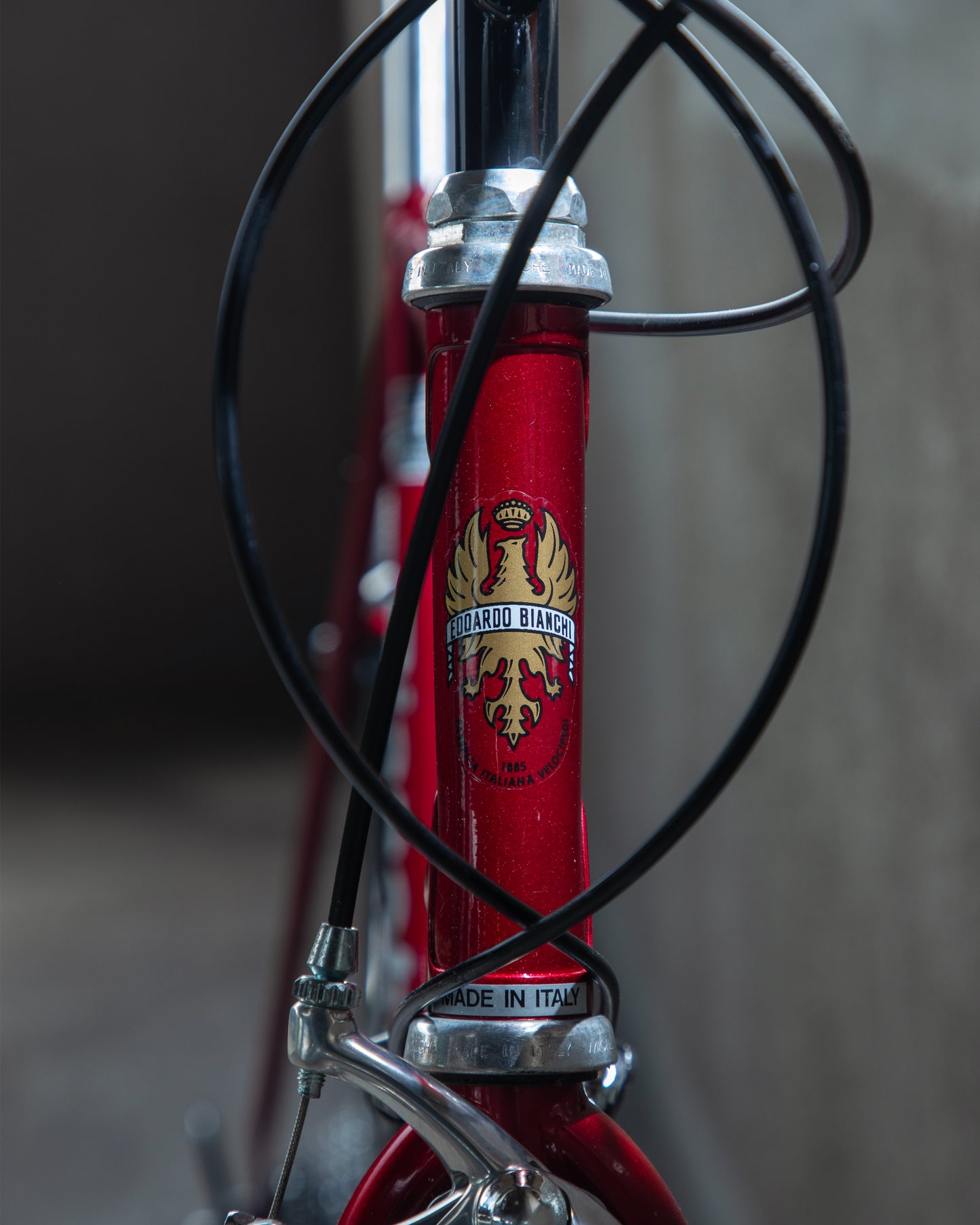 Bianchi Eros