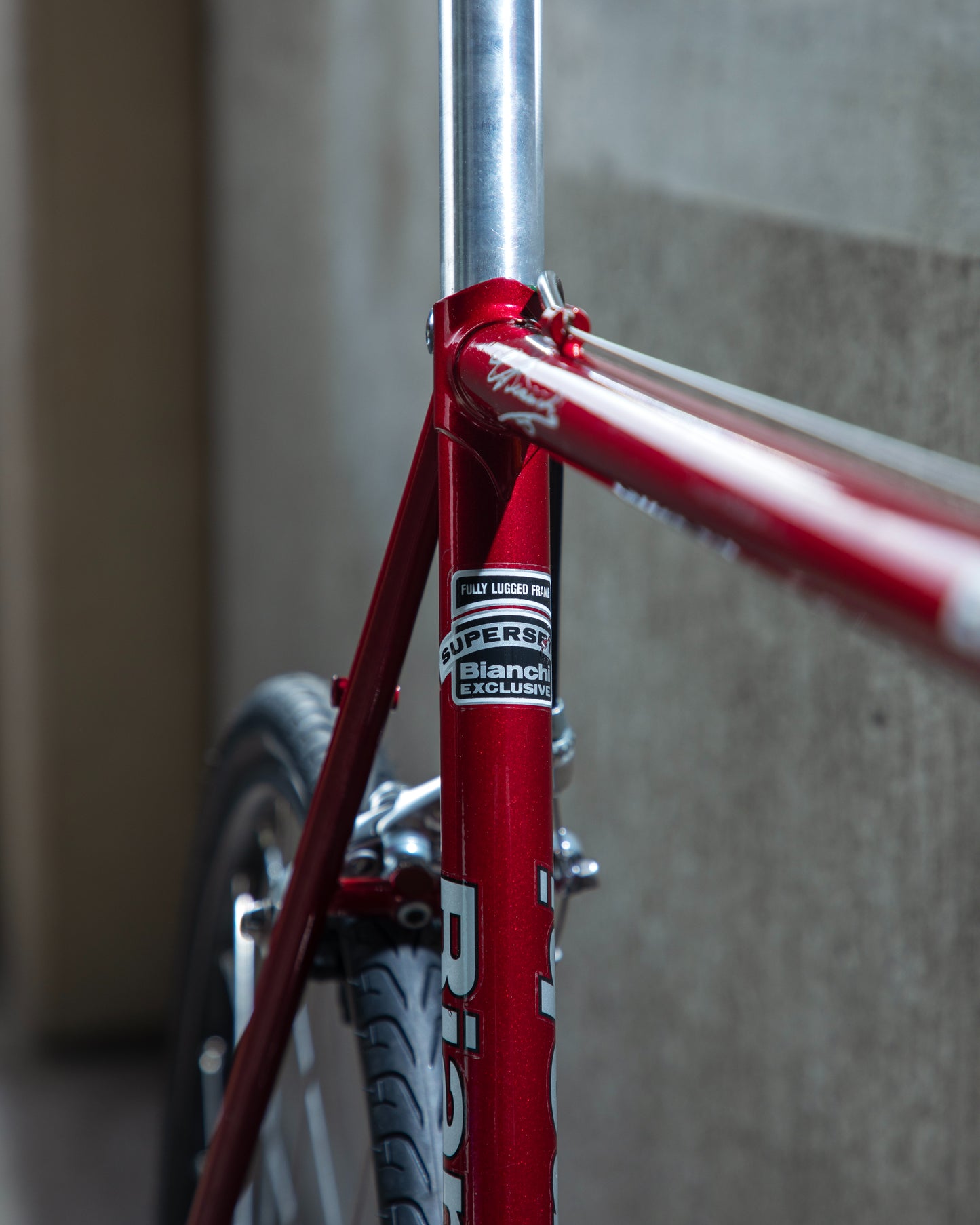 Bianchi Eros