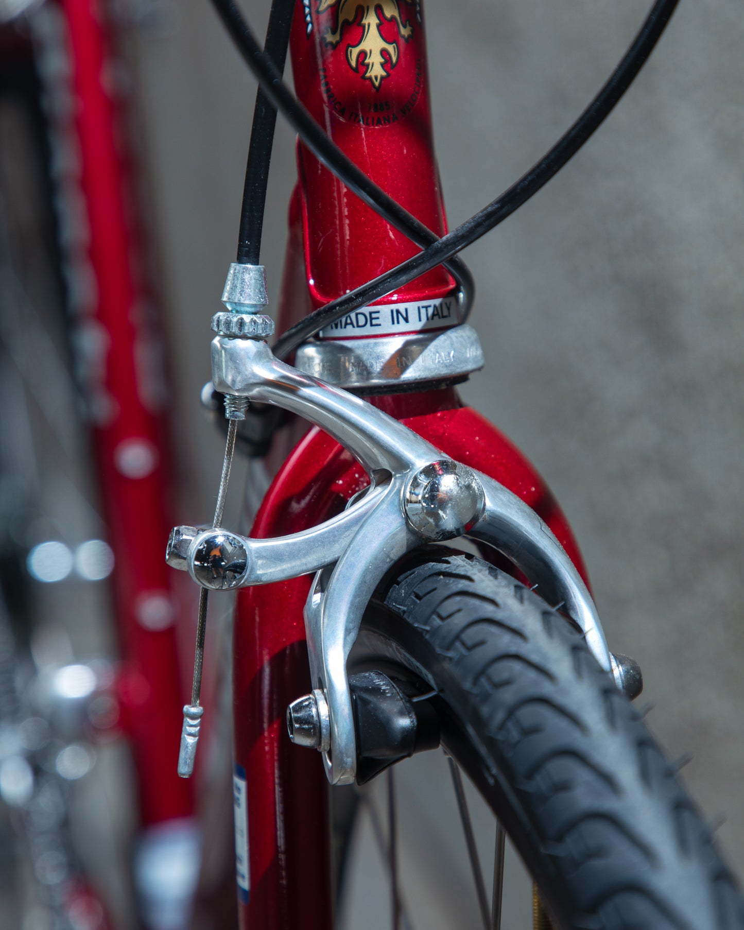 Bianchi Eros