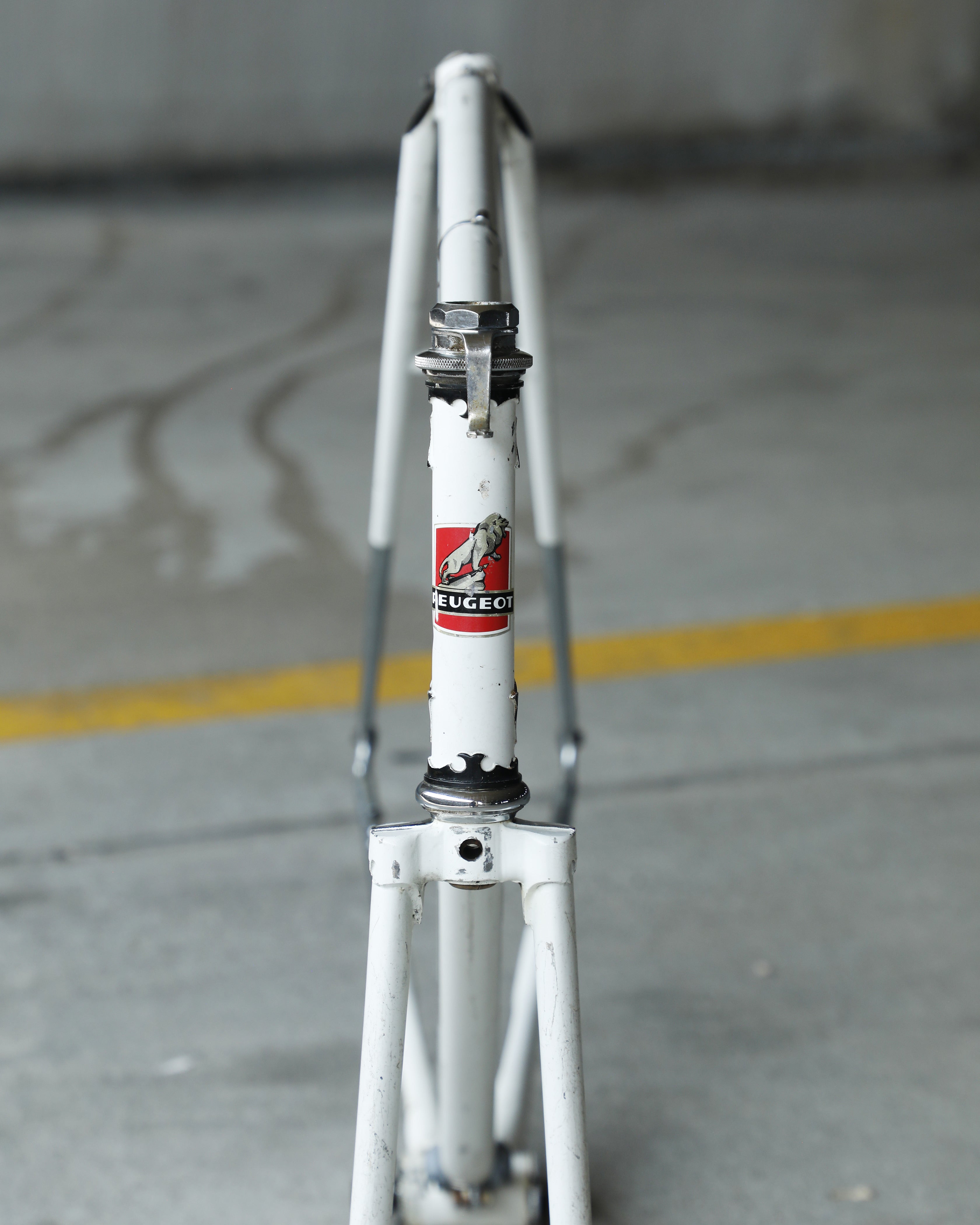 Peugeot PX10 – Ben's Cycles Denver