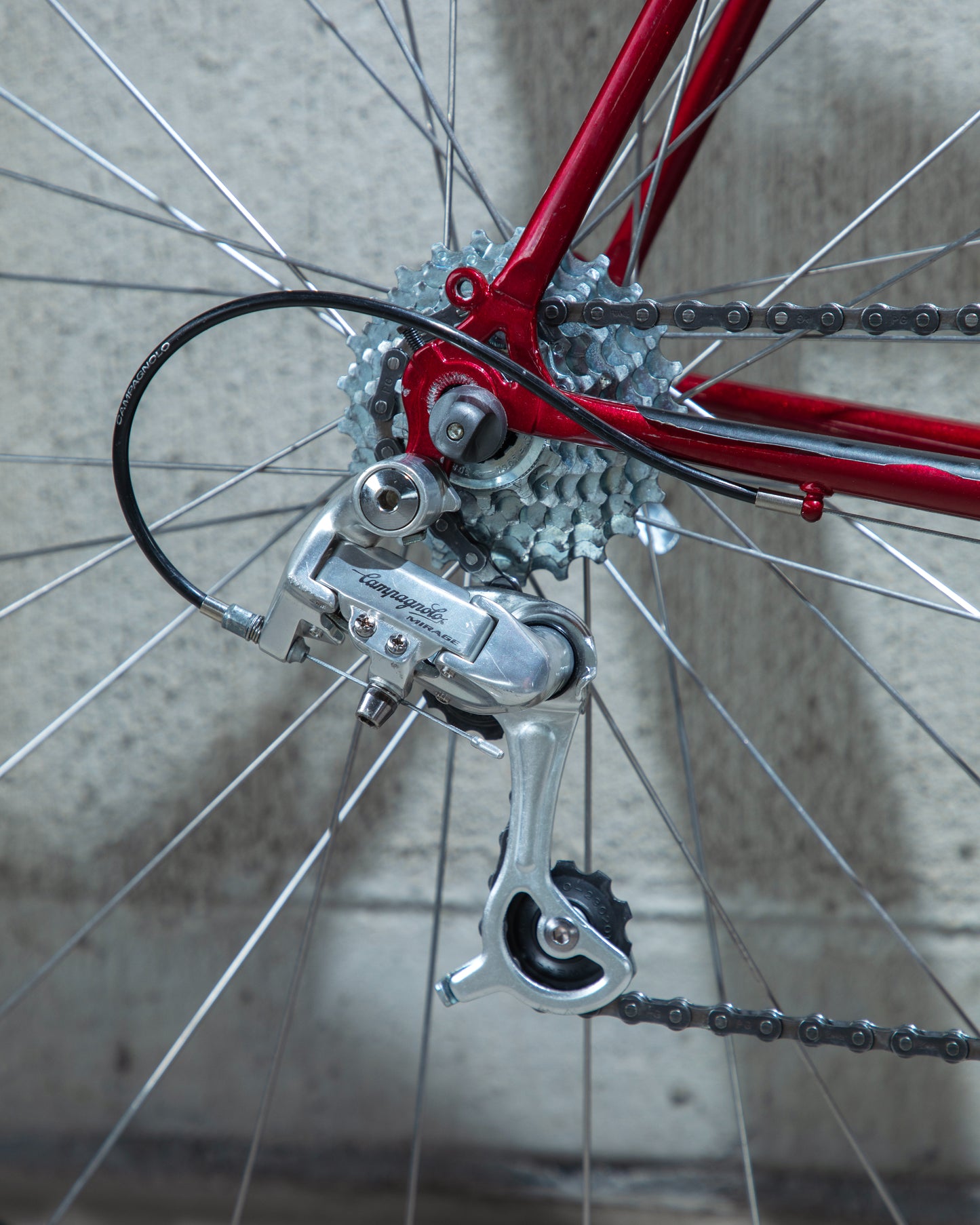 Bianchi Eros