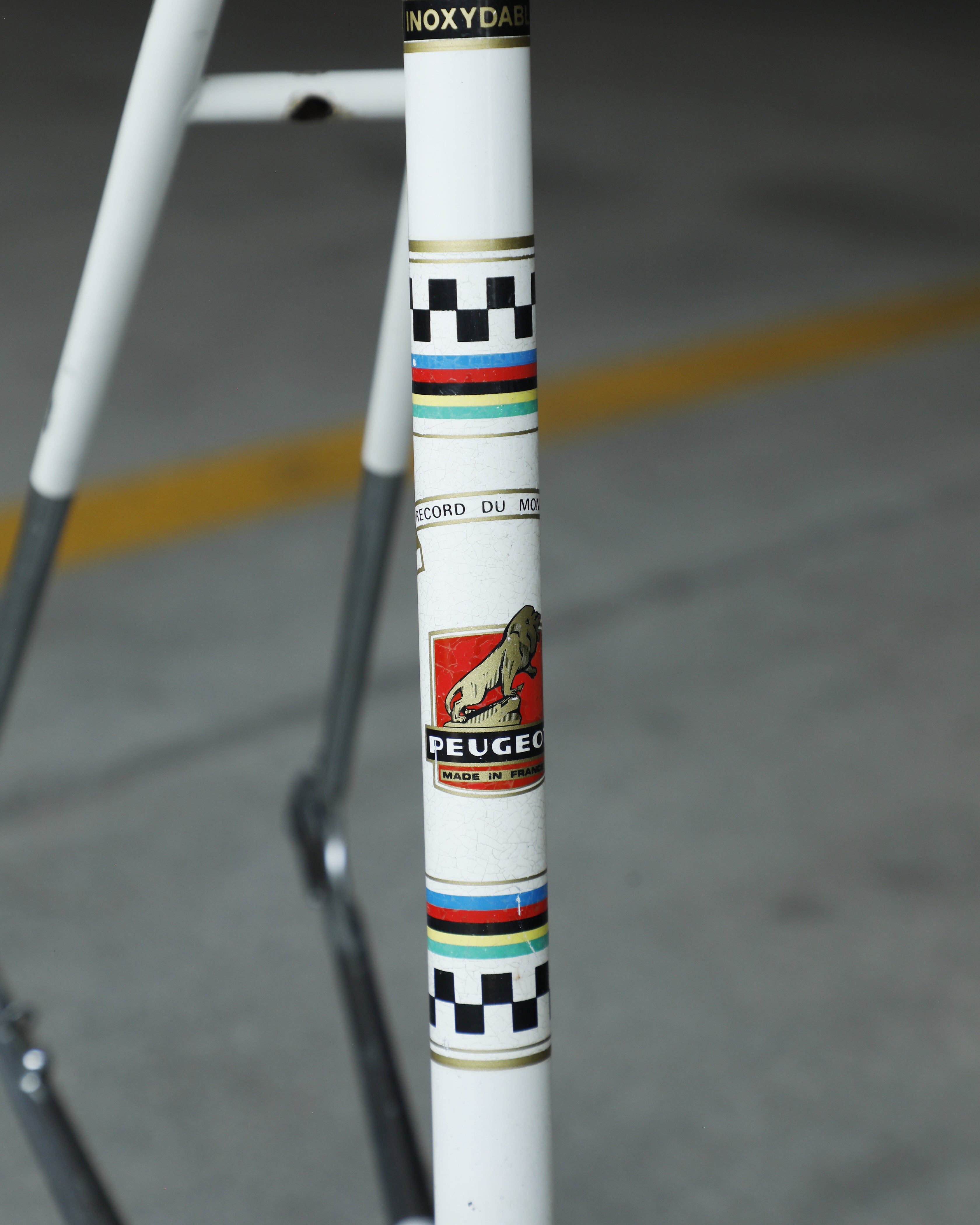 Peugeot PX10 – Ben's Cycles Denver