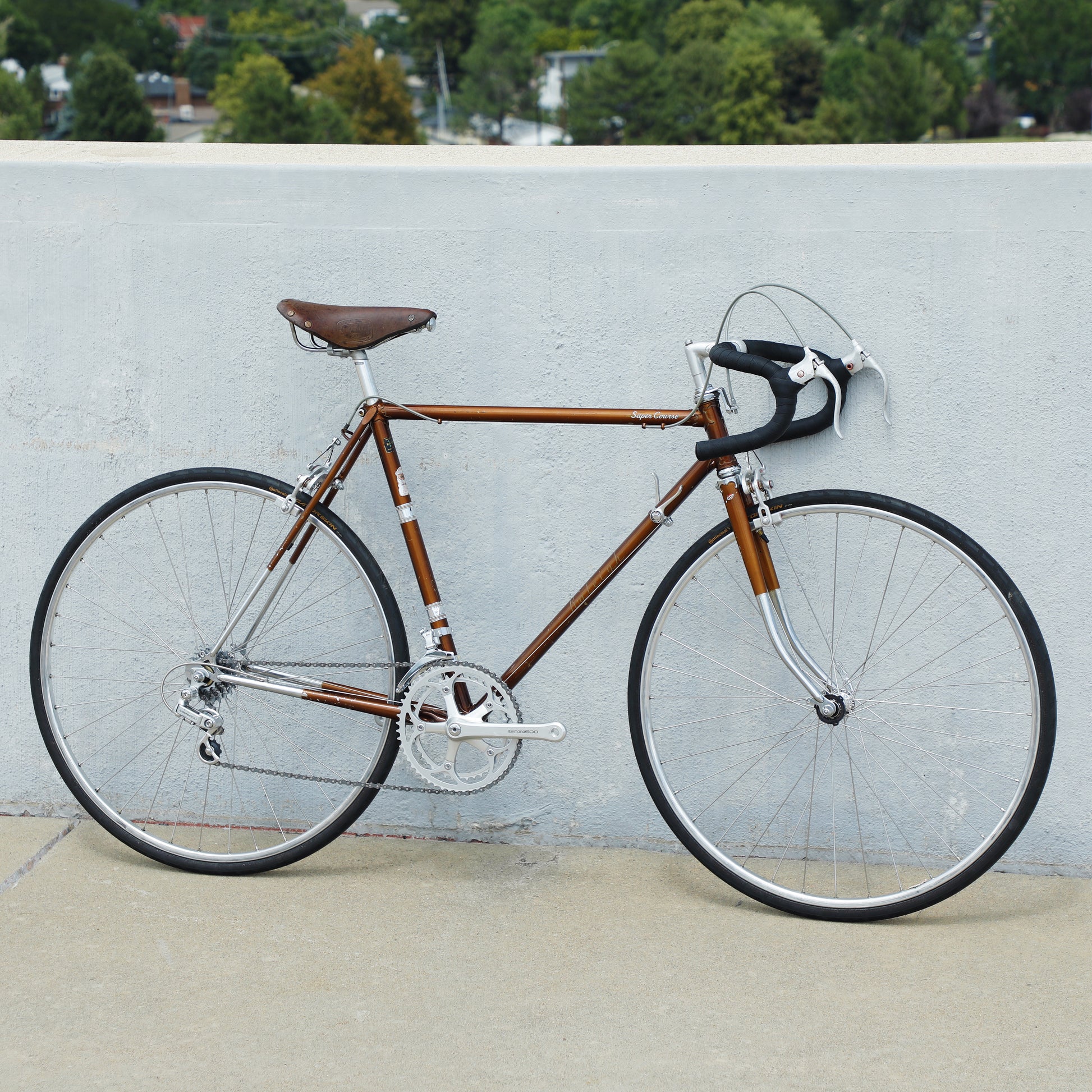 Vintage Street Bicycle Brands Bike Brands Steel Vintage Road Bike