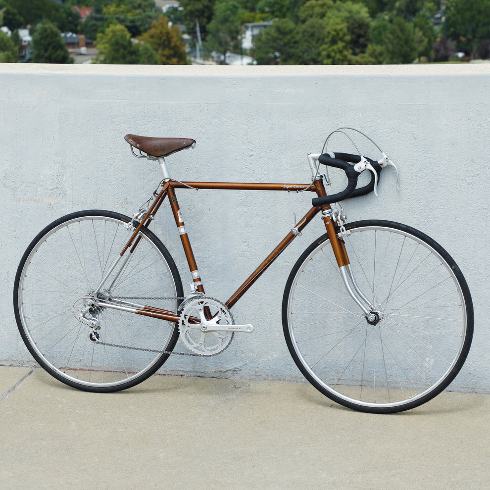 Raleigh Super Course – Ben's Cycles Denver