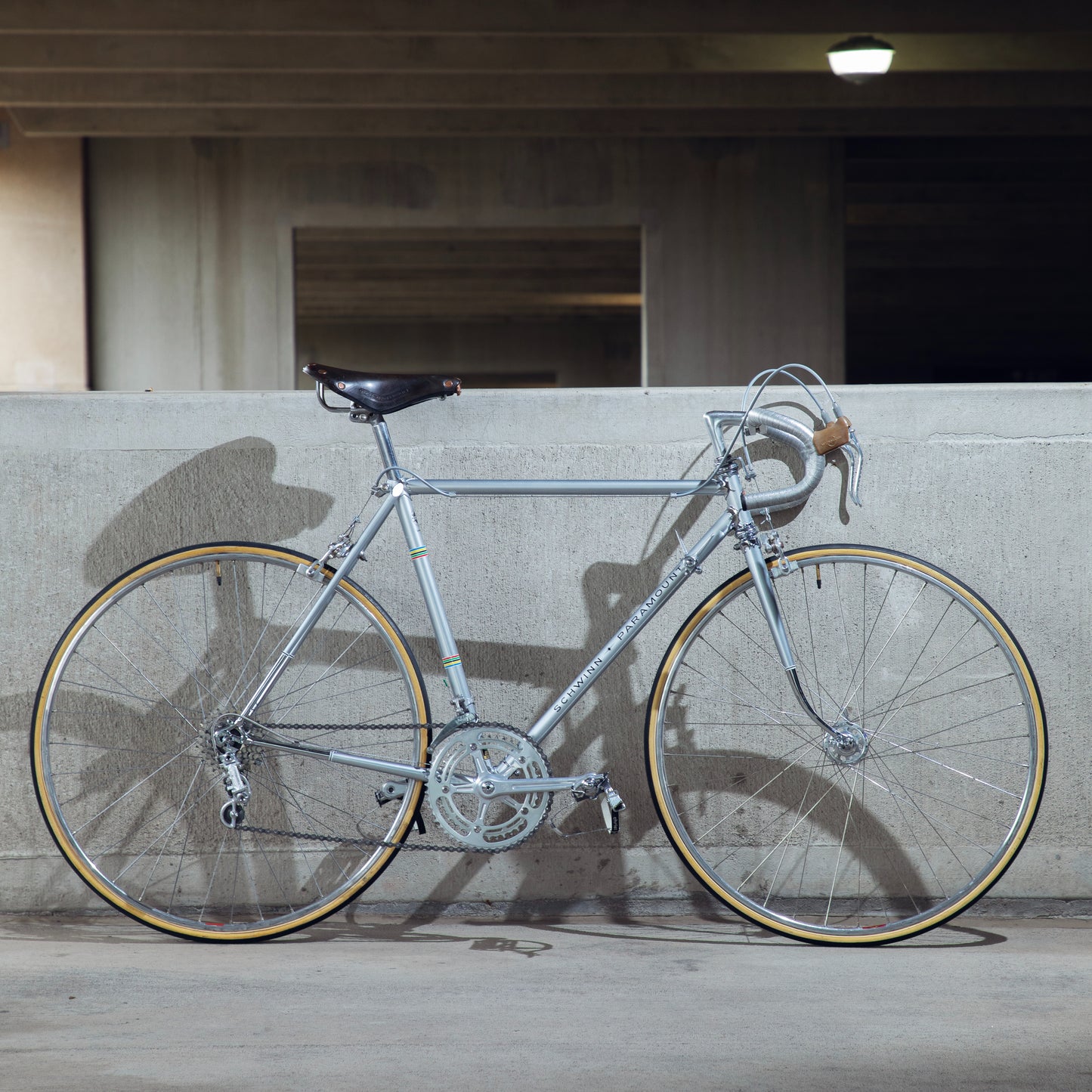 1973 Schwinn Paramount