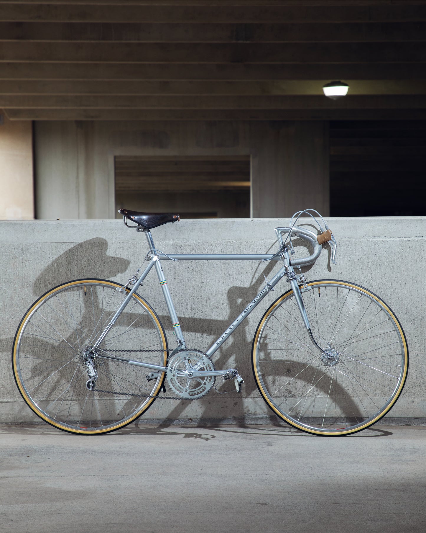 1973 Schwinn Paramount