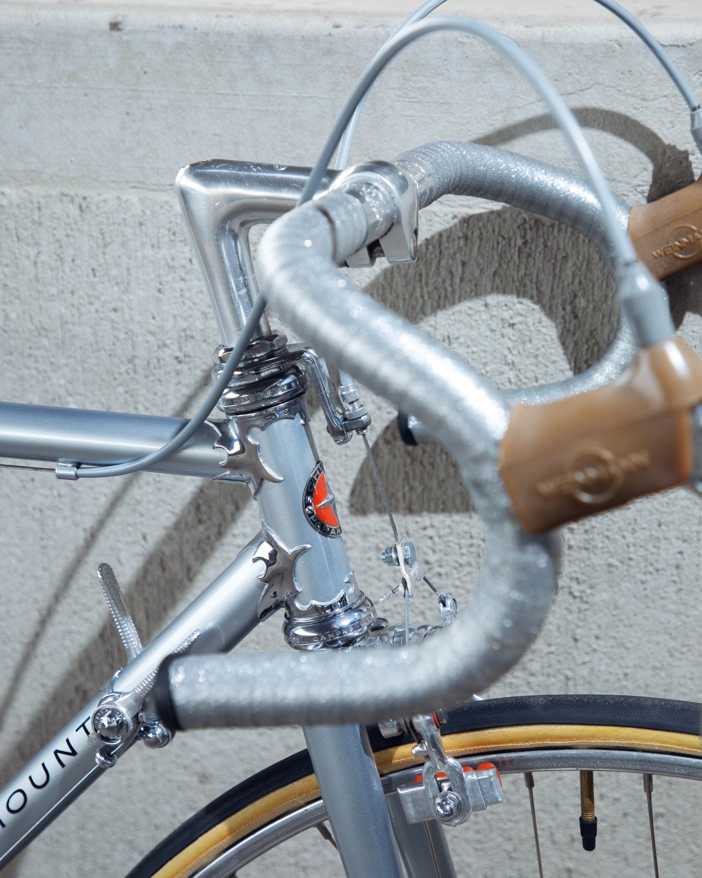 1973 Schwinn Paramount