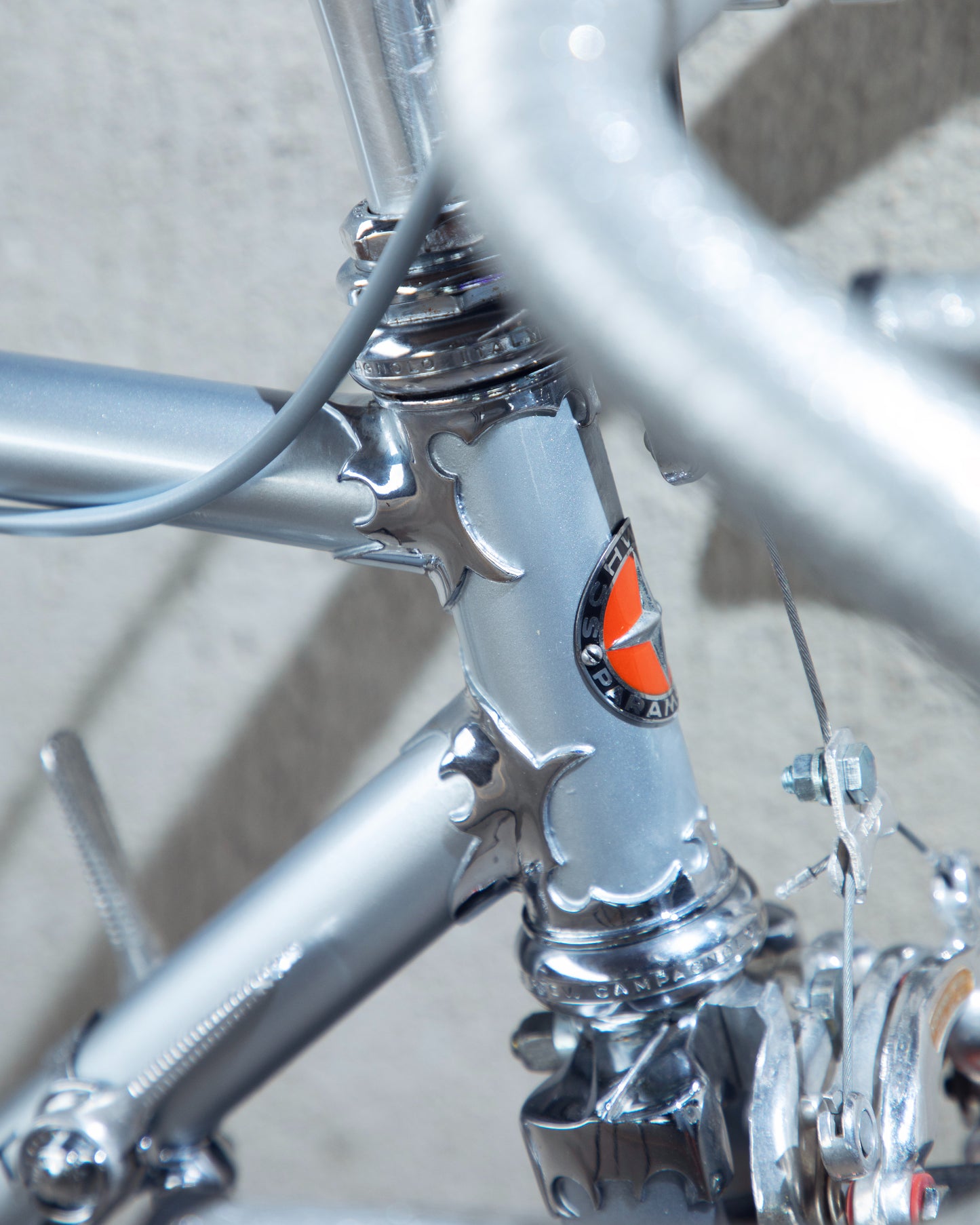 1973 Schwinn Paramount