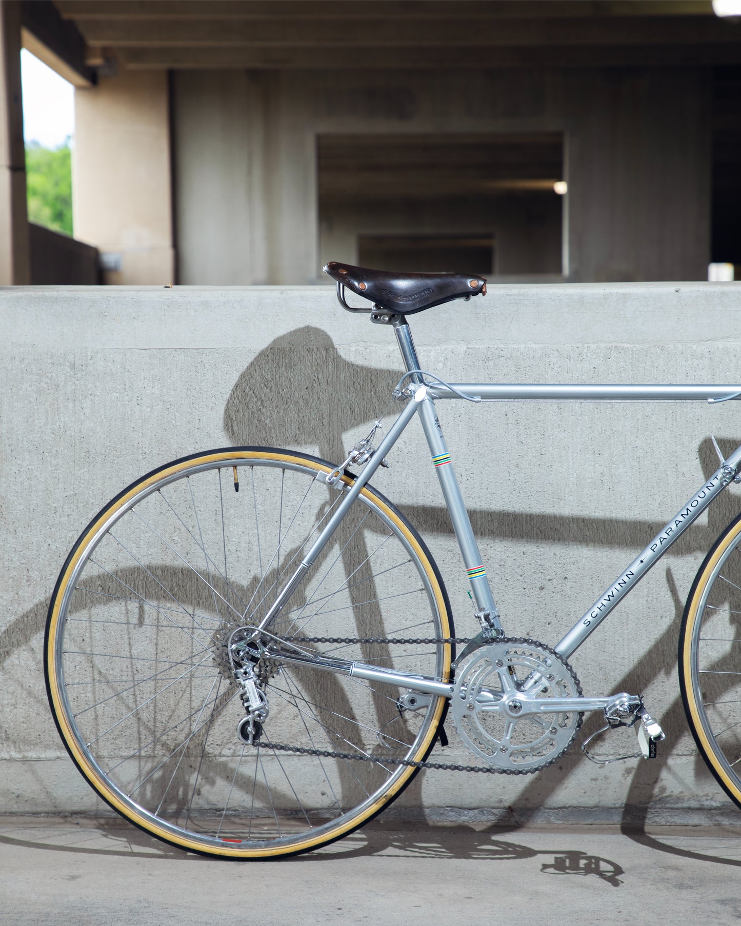 1973 Schwinn Paramount