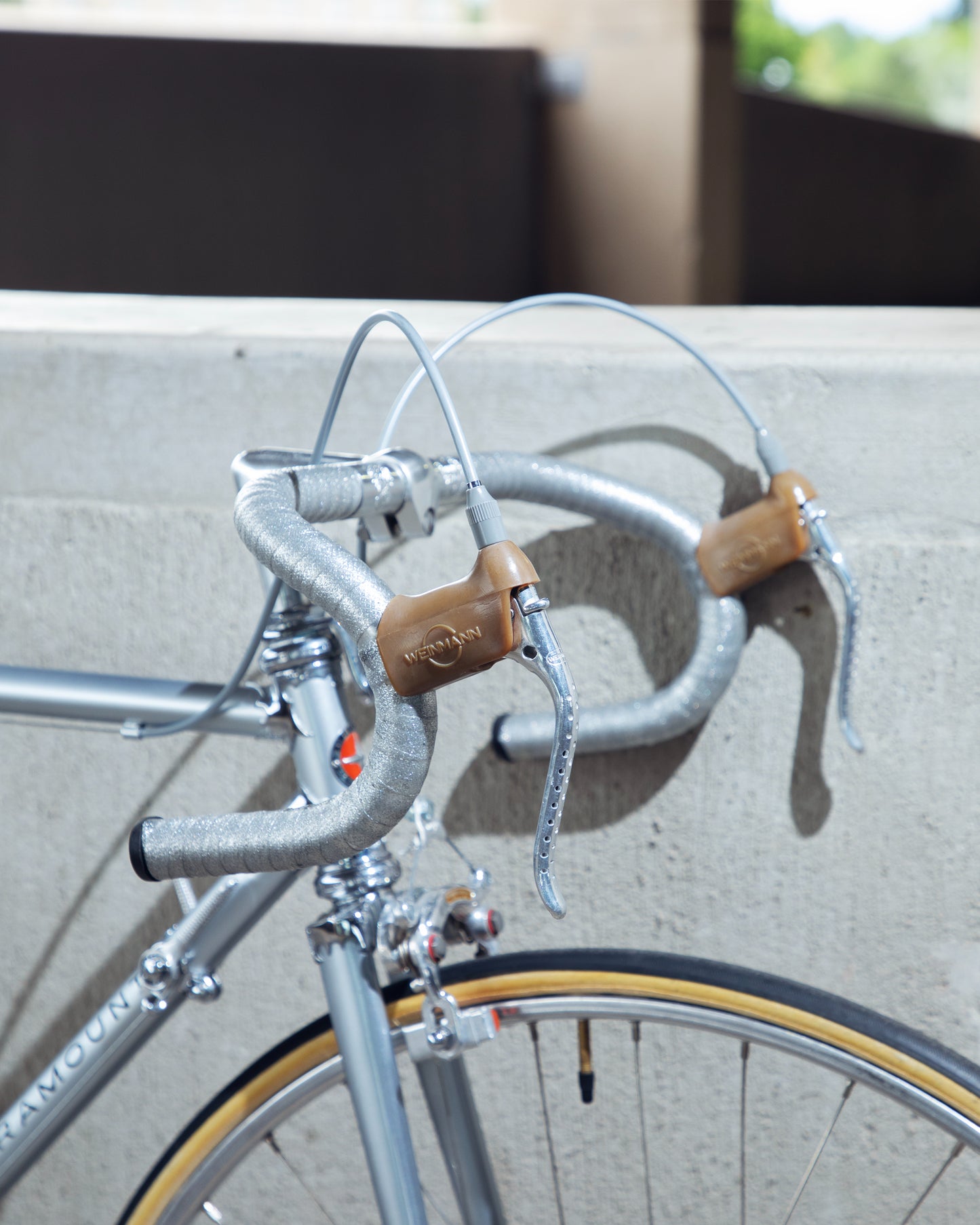 1973 Schwinn Paramount