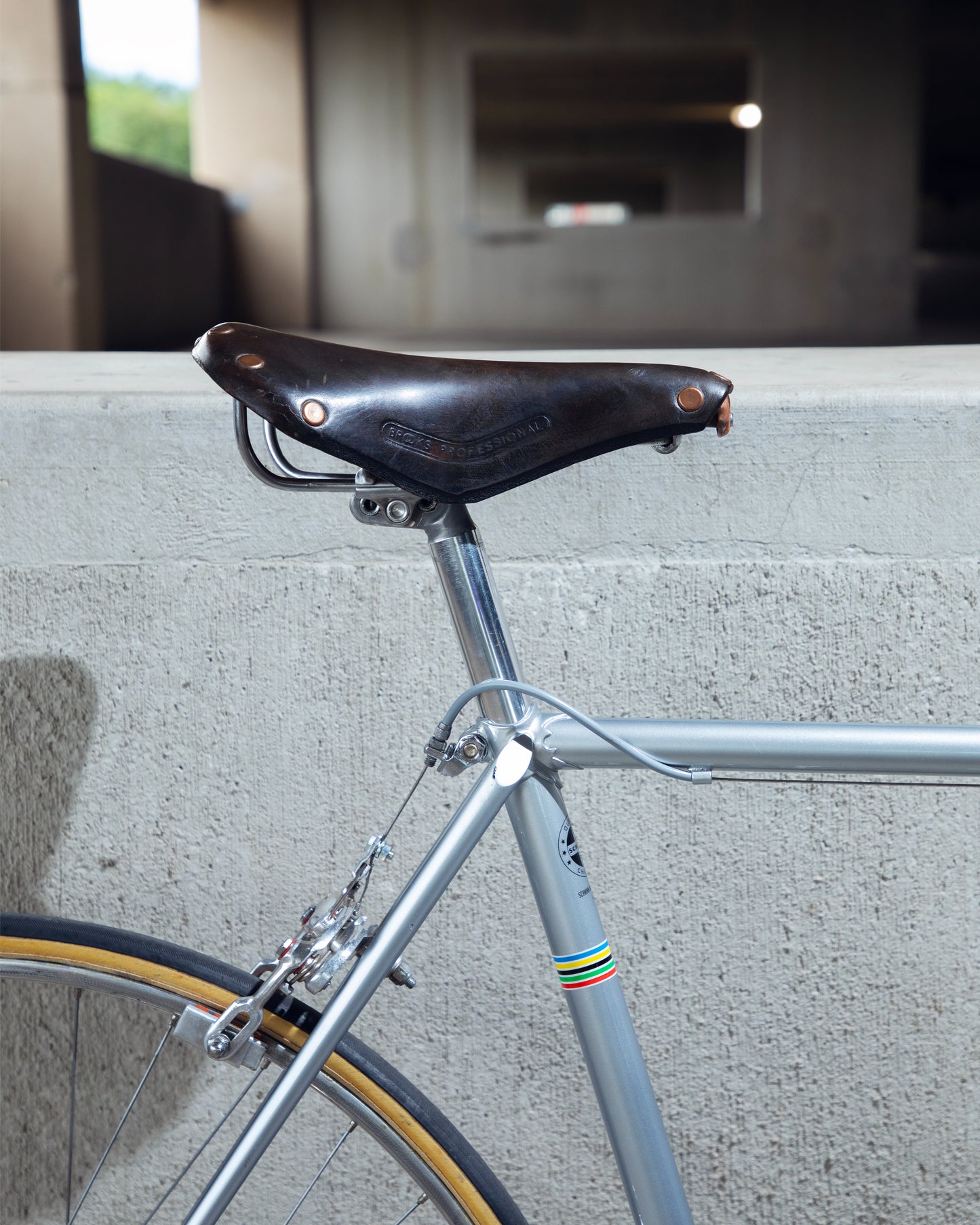 1973 Schwinn Paramount