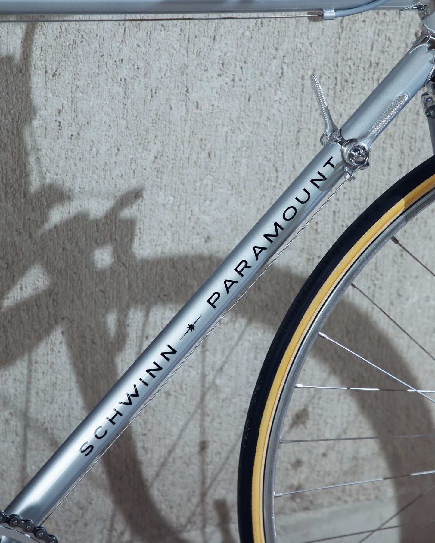 1973 Schwinn Paramount
