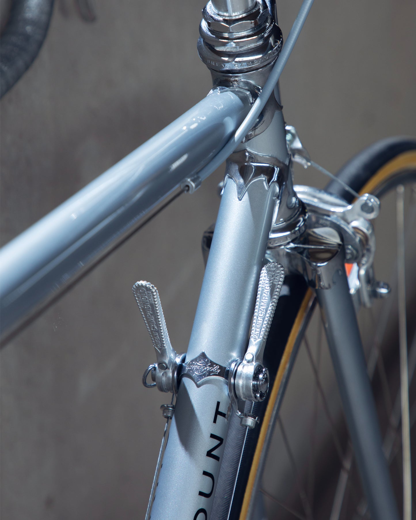 1973 Schwinn Paramount
