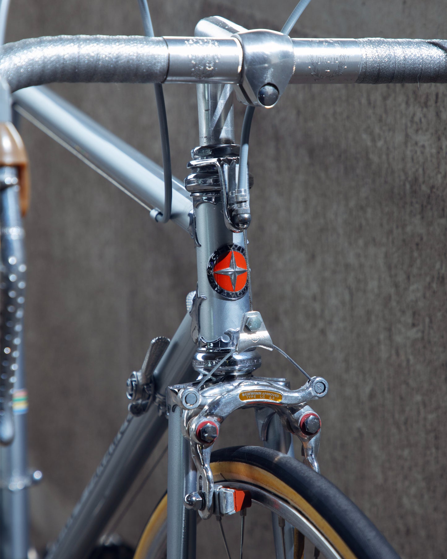 1973 Schwinn Paramount