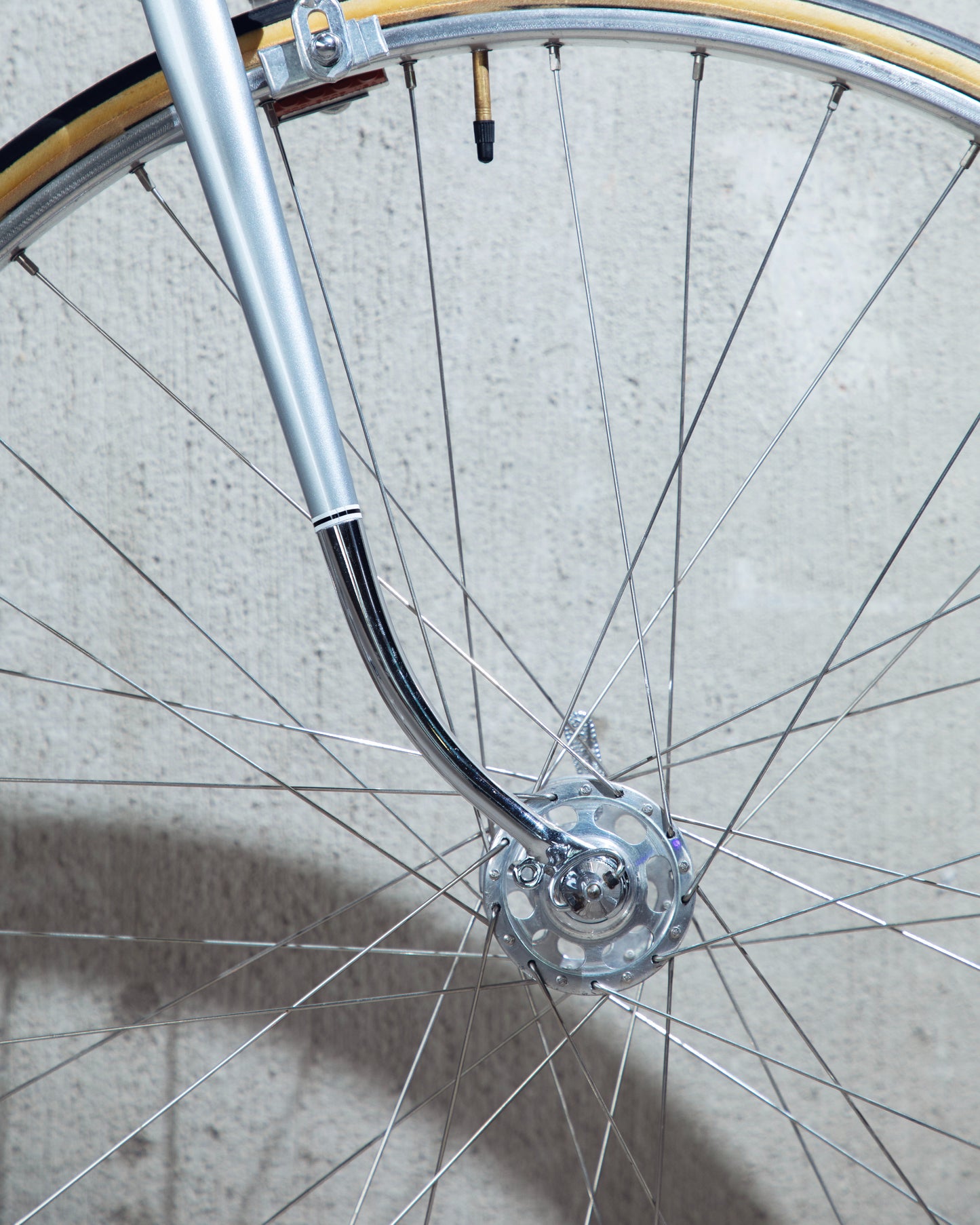 1973 Schwinn Paramount