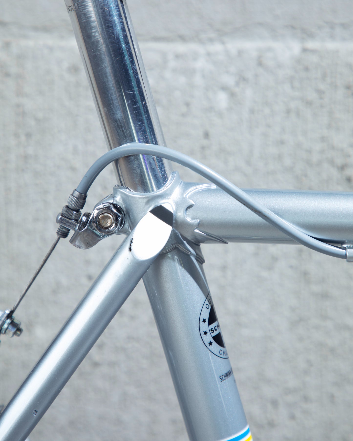 1973 Schwinn Paramount