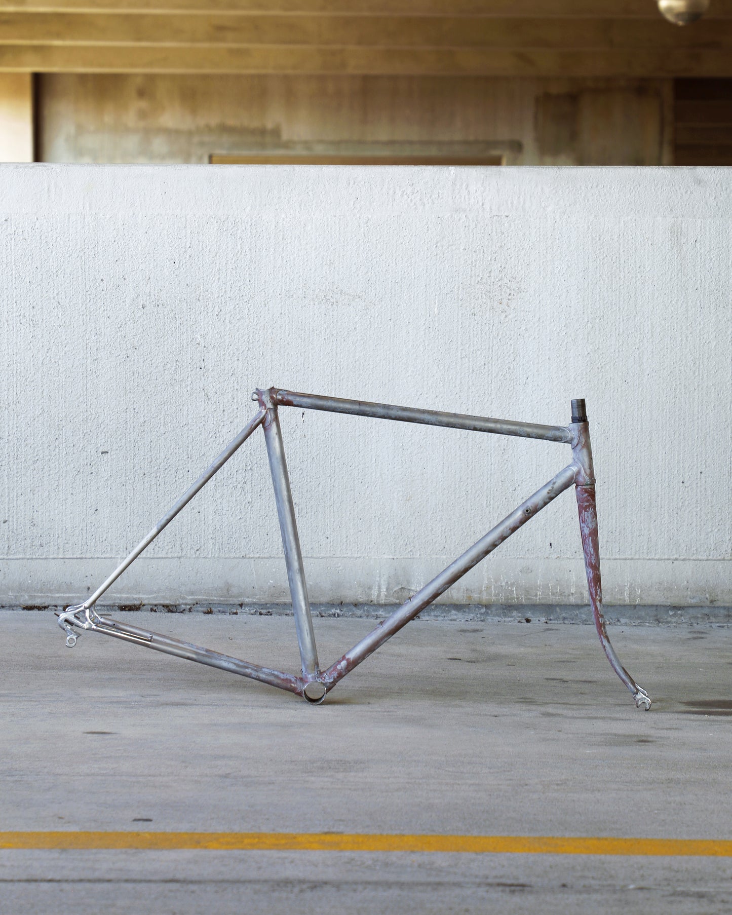 Raleigh Professional Mk. IV