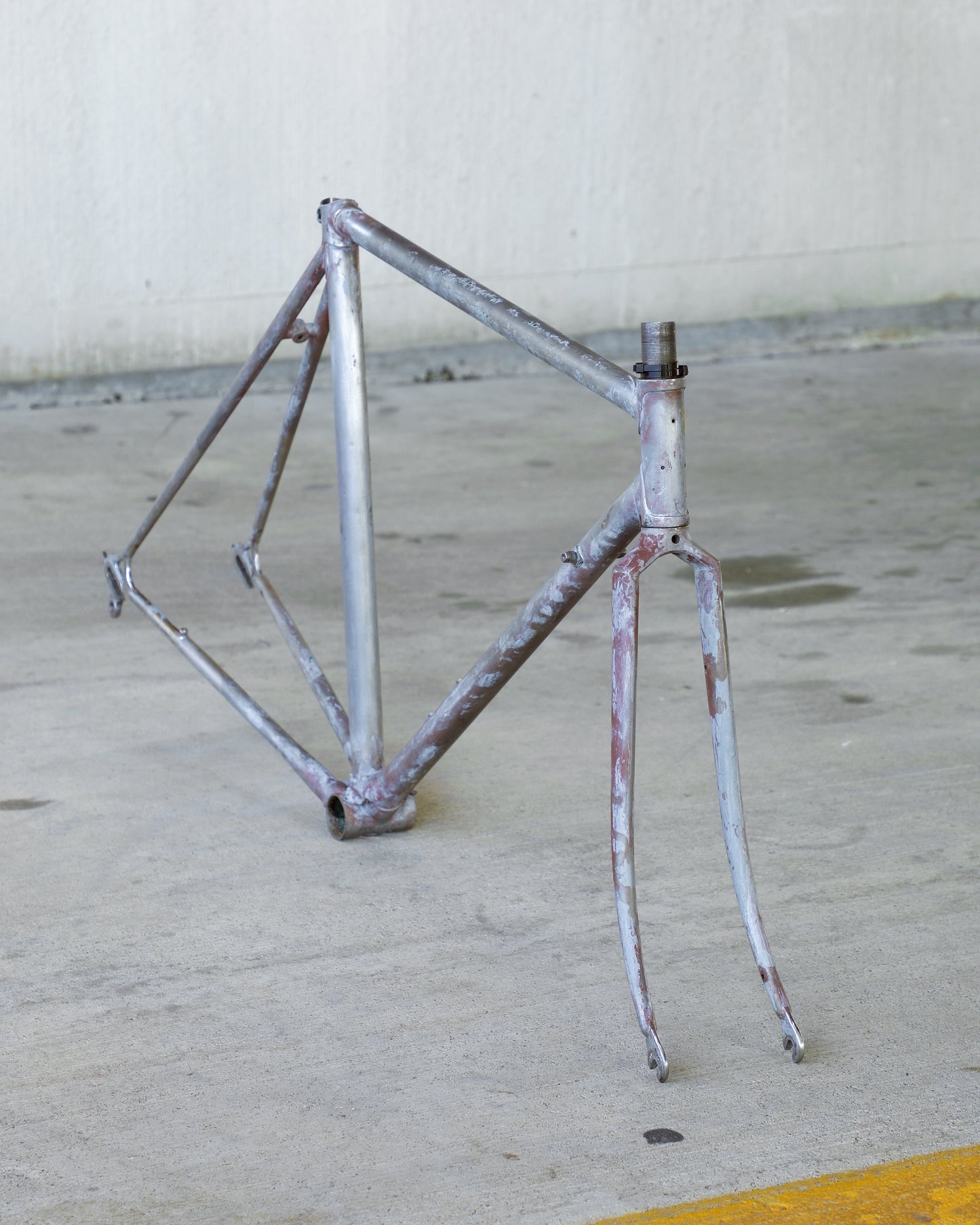 Raleigh Professional Mk. IV