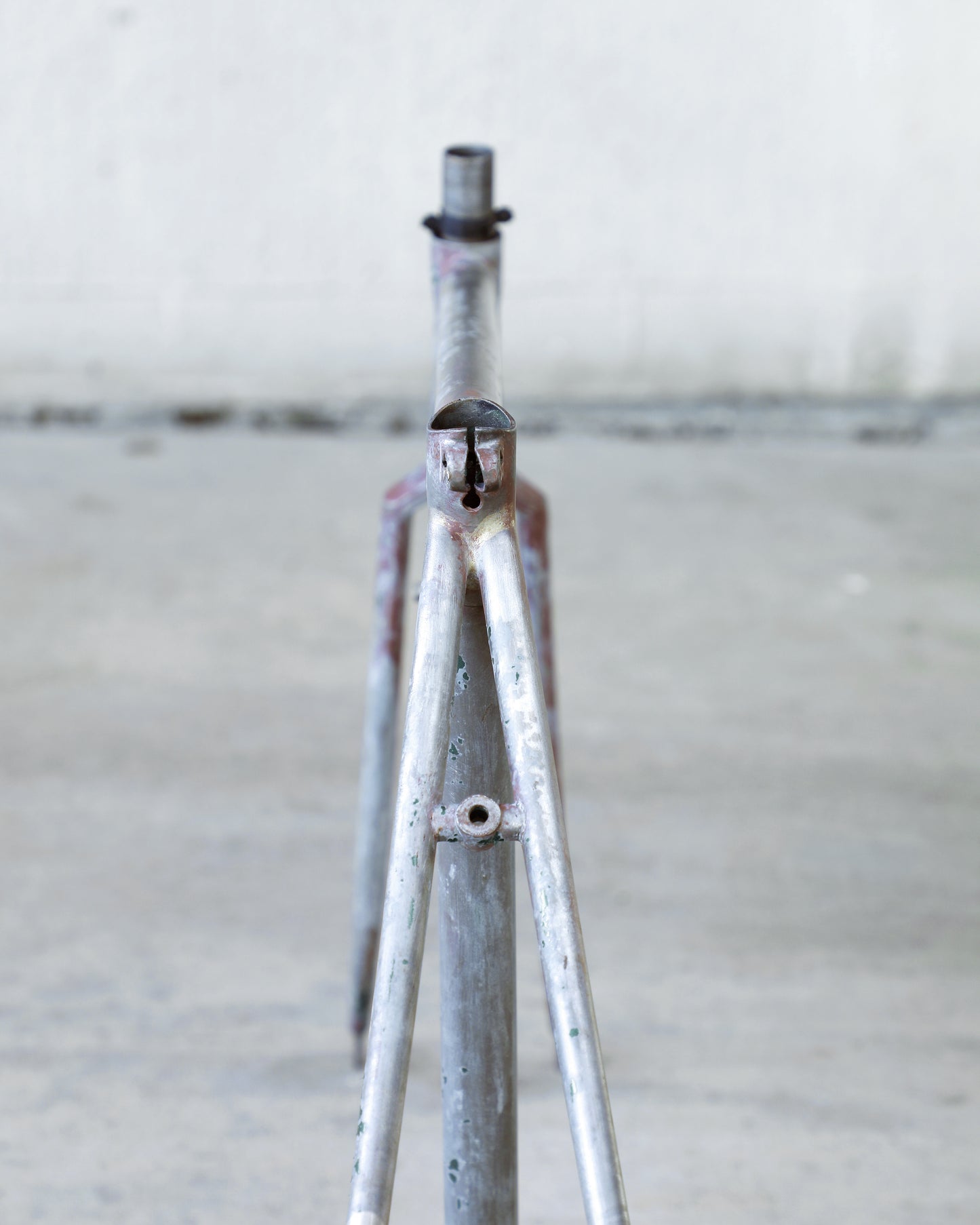 Raleigh Professional Mk. IV