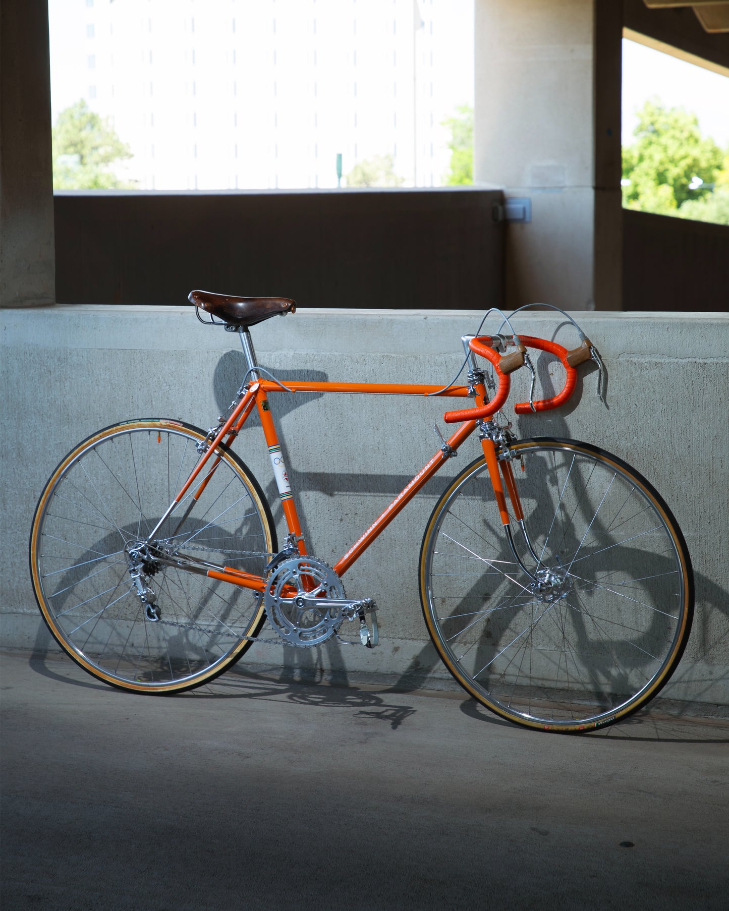 Schwinn Paramount