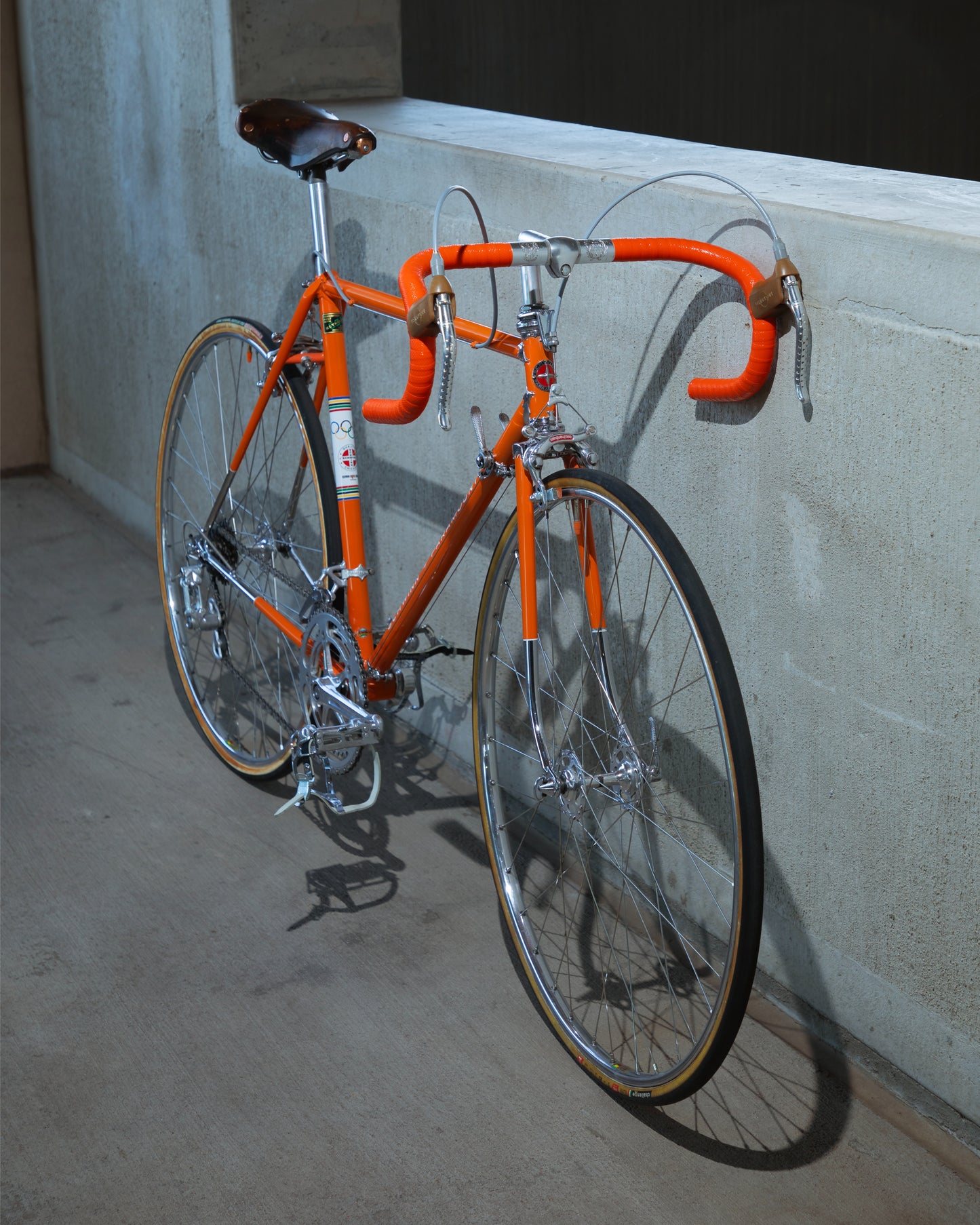 Schwinn Paramount