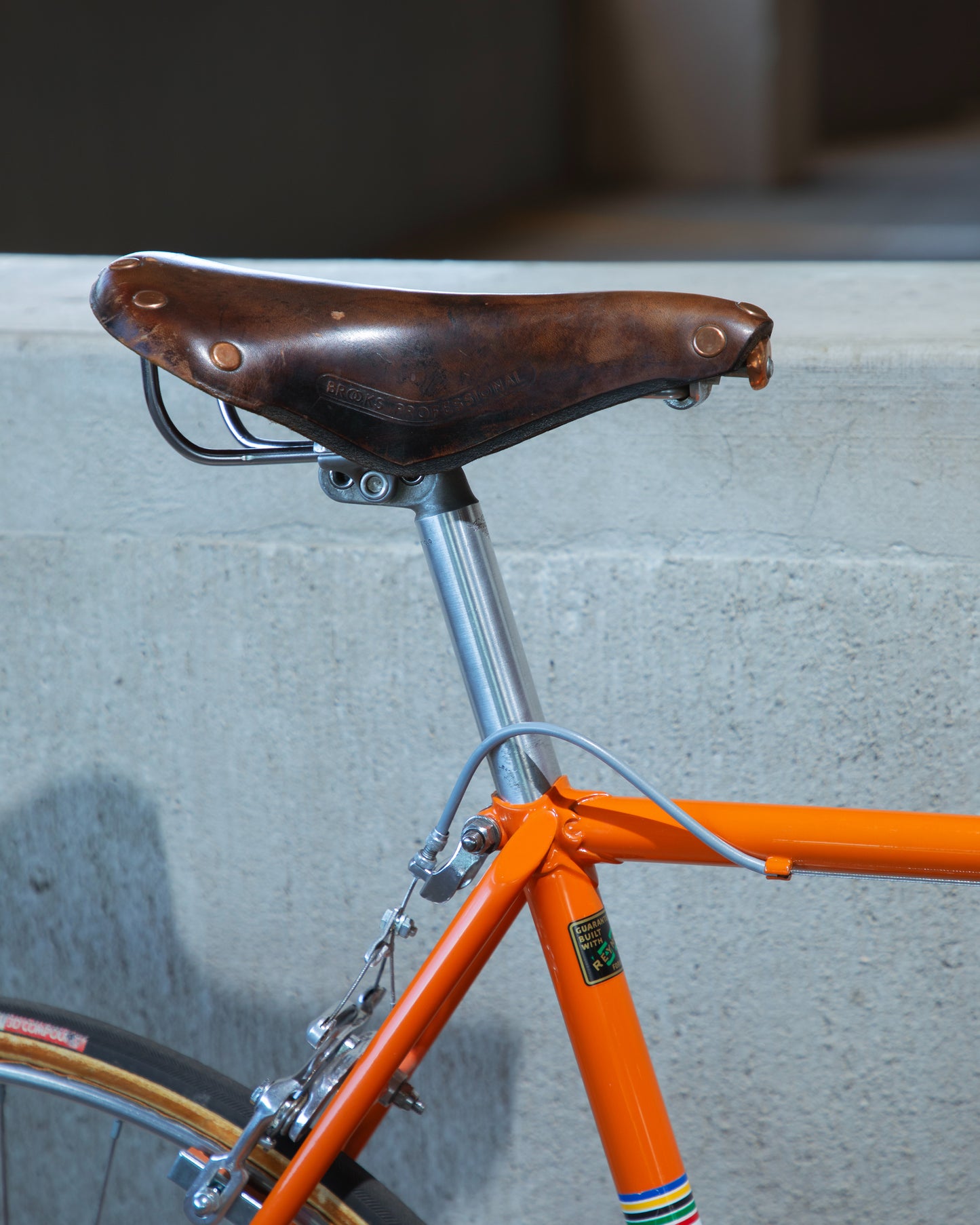 Schwinn Paramount